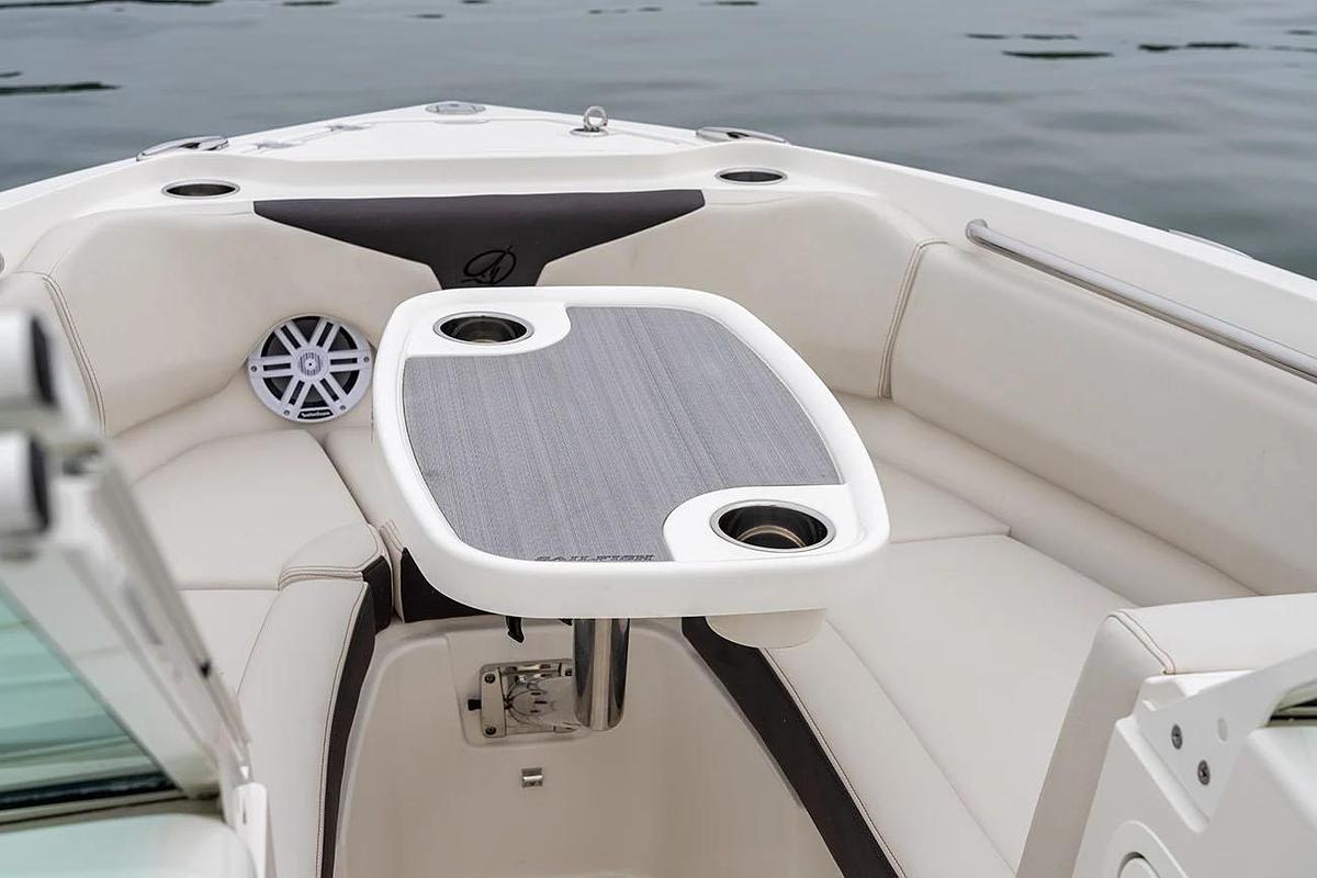 2025 Sailfish 236 DC