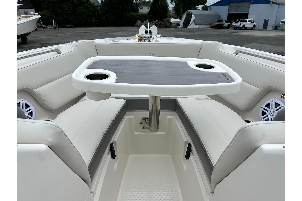 2025 Sailfish 245 DC