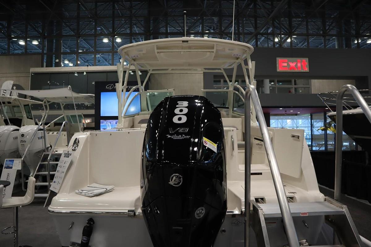 2025 Sailfish 245 DC