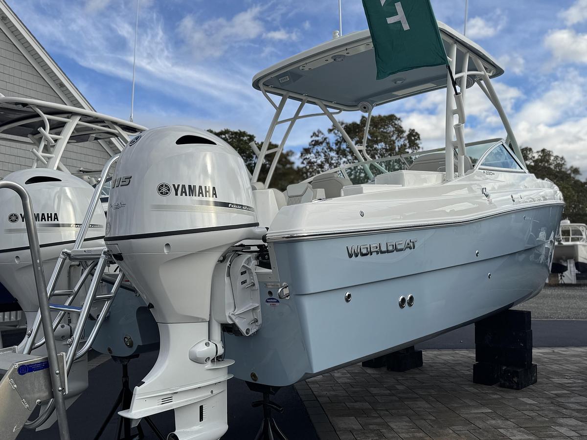 2026 World Cat 230SD