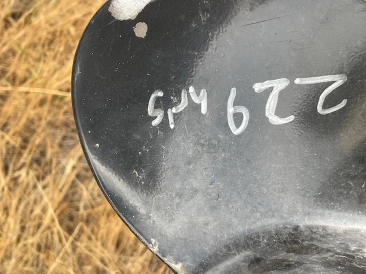 Used 2021 Bayliner Element E21