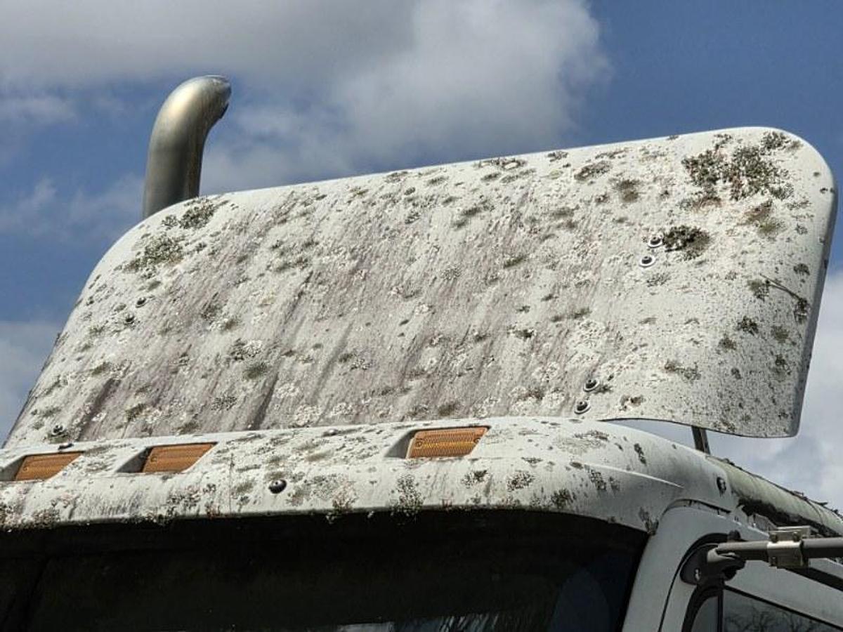 Used 2007 Freightliner FREIGHTLINER