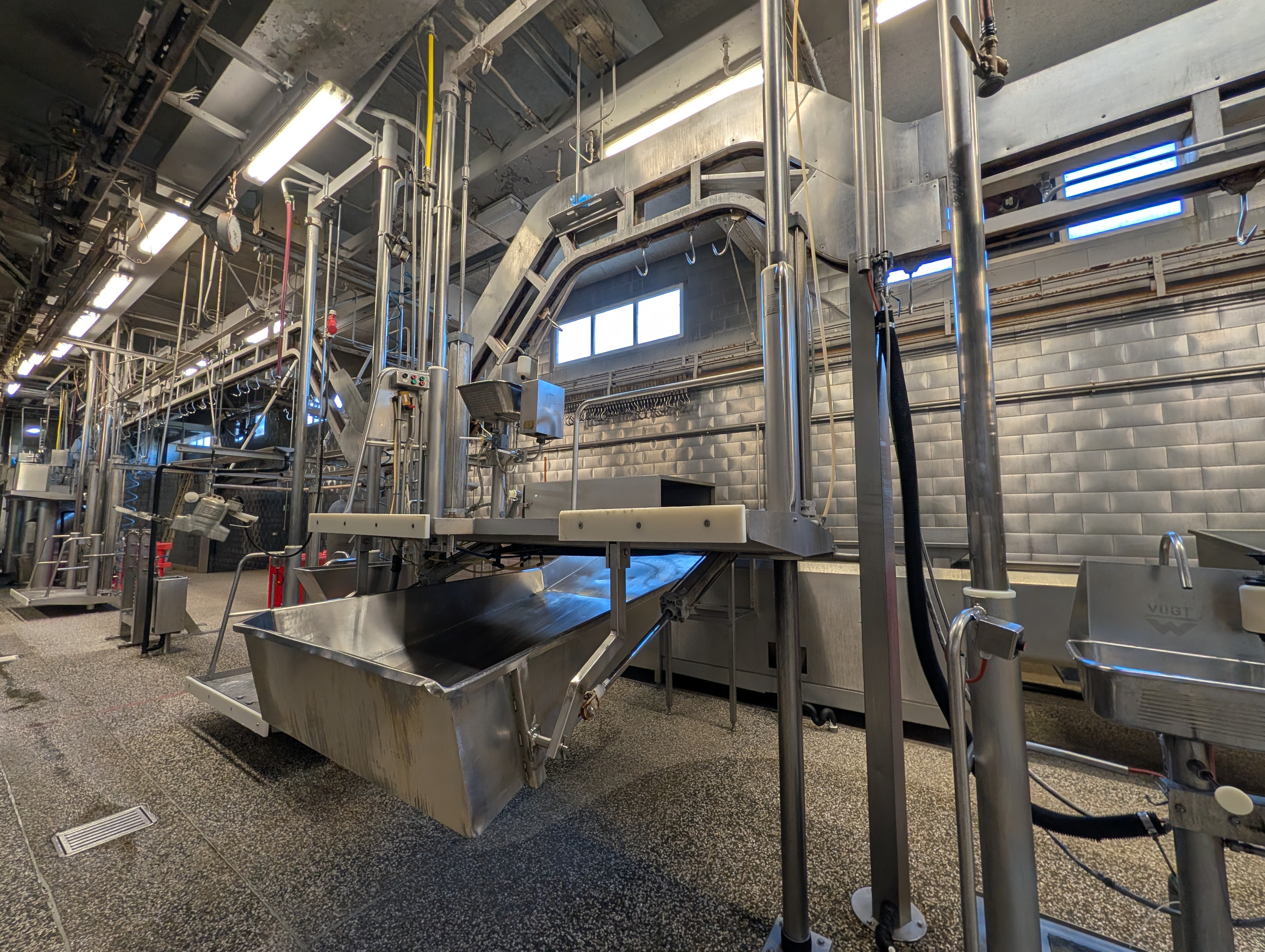 Used 50 cattle per hour slaughterline