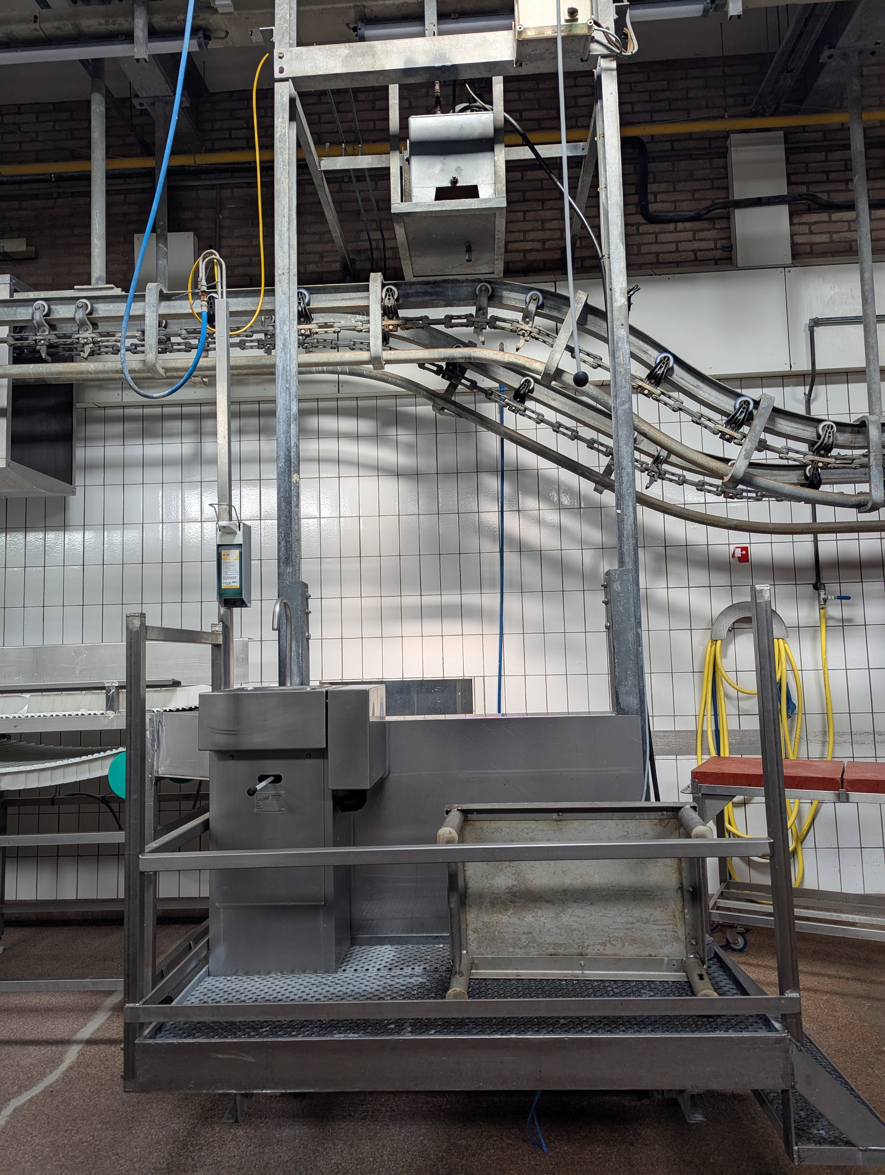 Used Sheep and cattle slaughterline