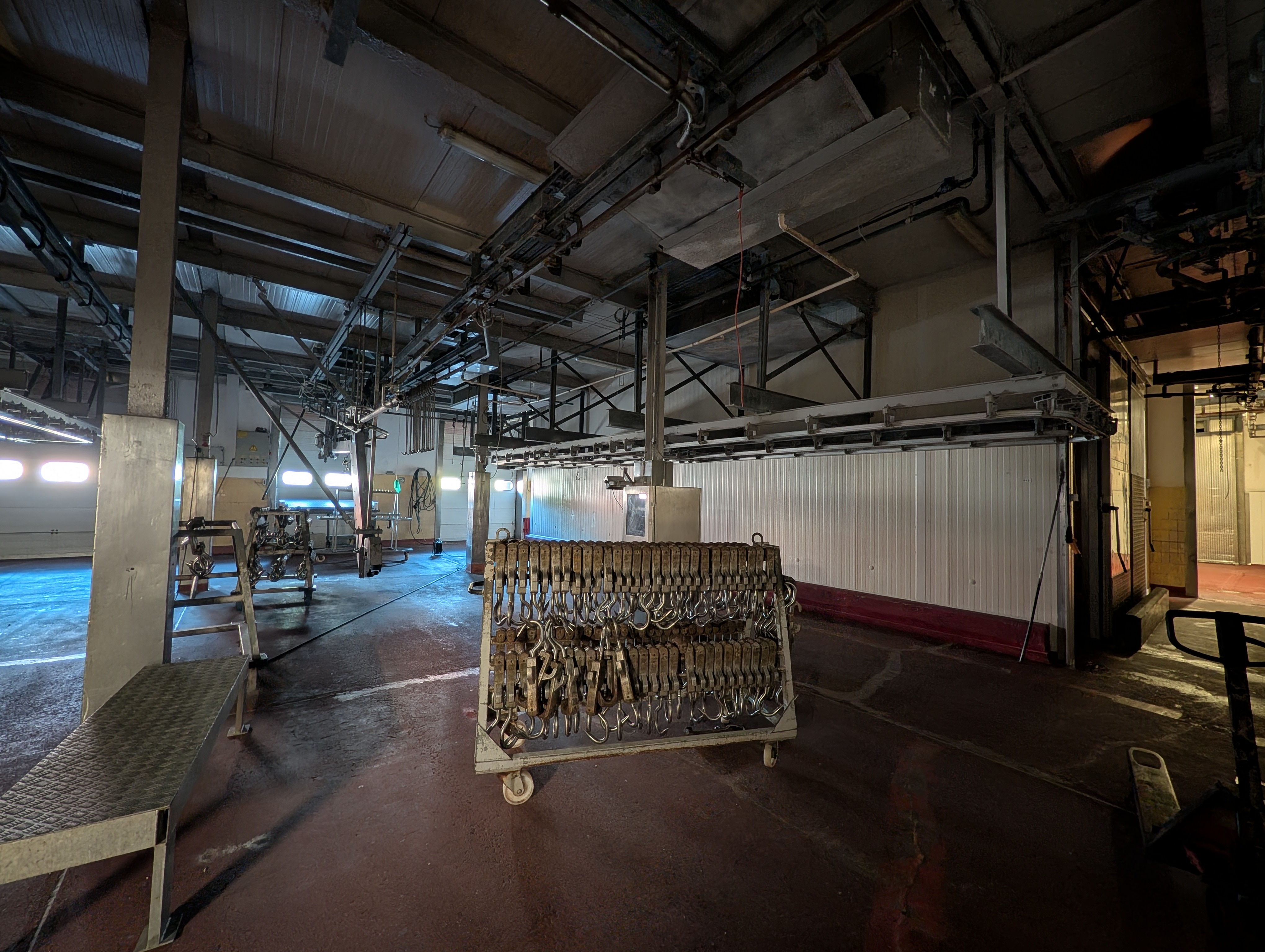 Used 50 cattle per hour slaughterline