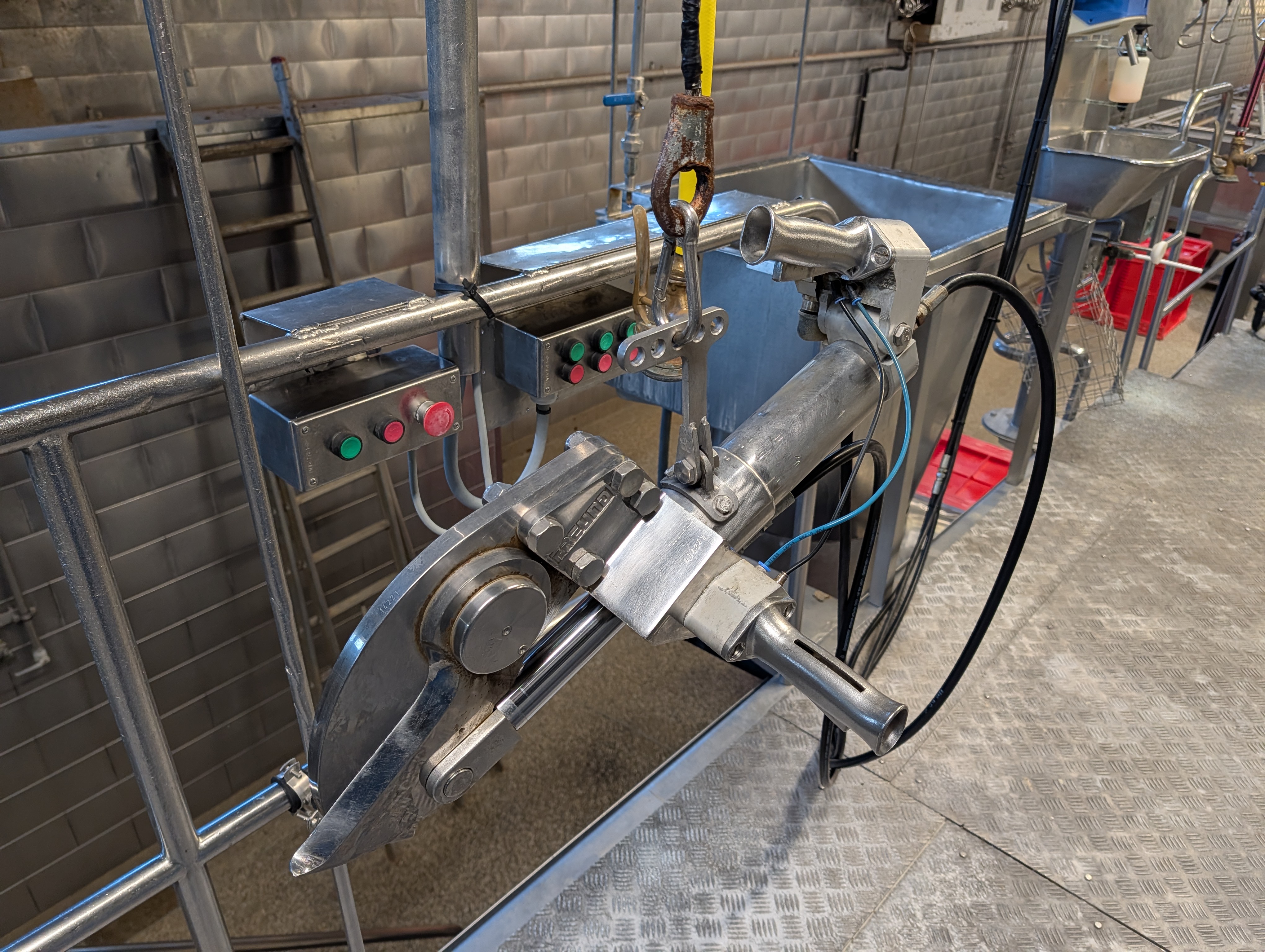 Used 50 cattle per hour slaughterline