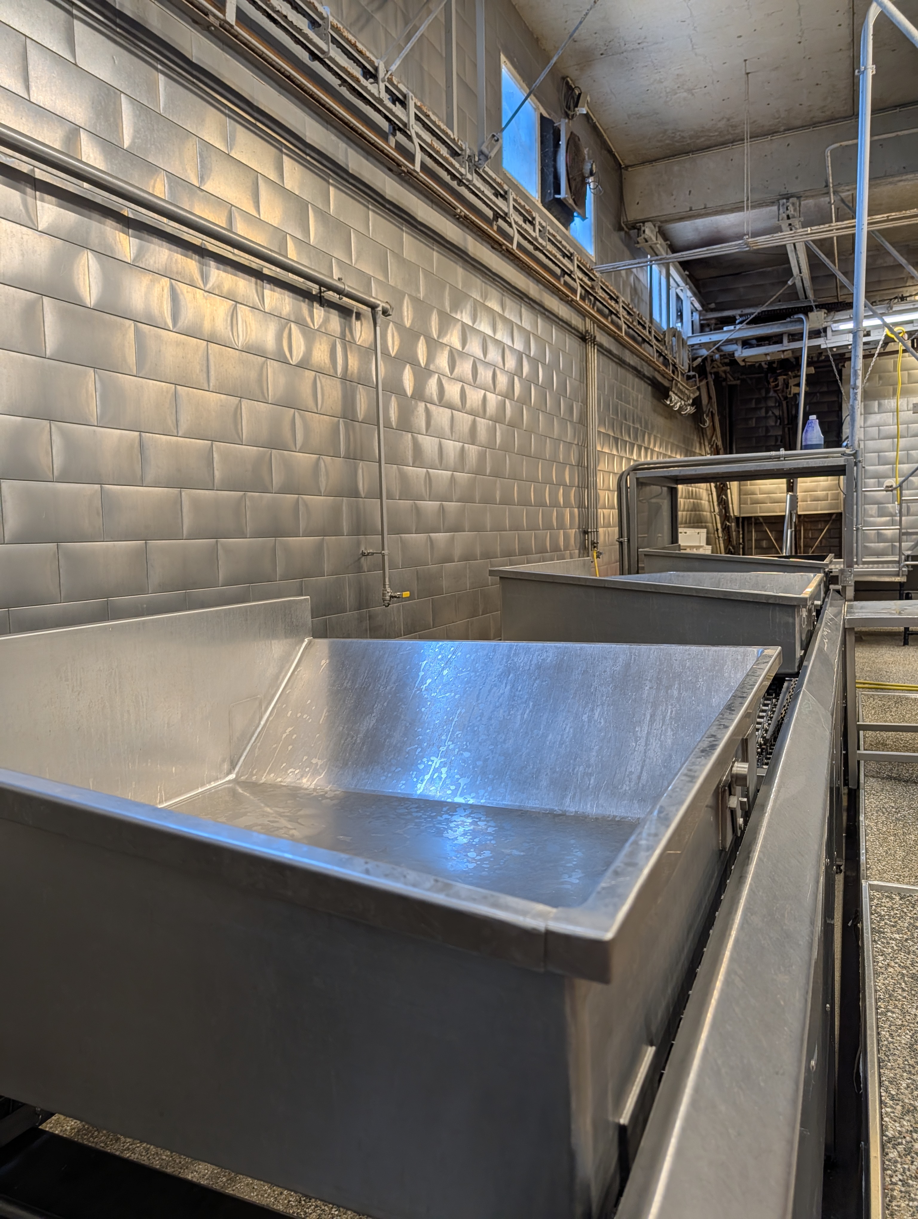 Used 50 cattle per hour slaughterline