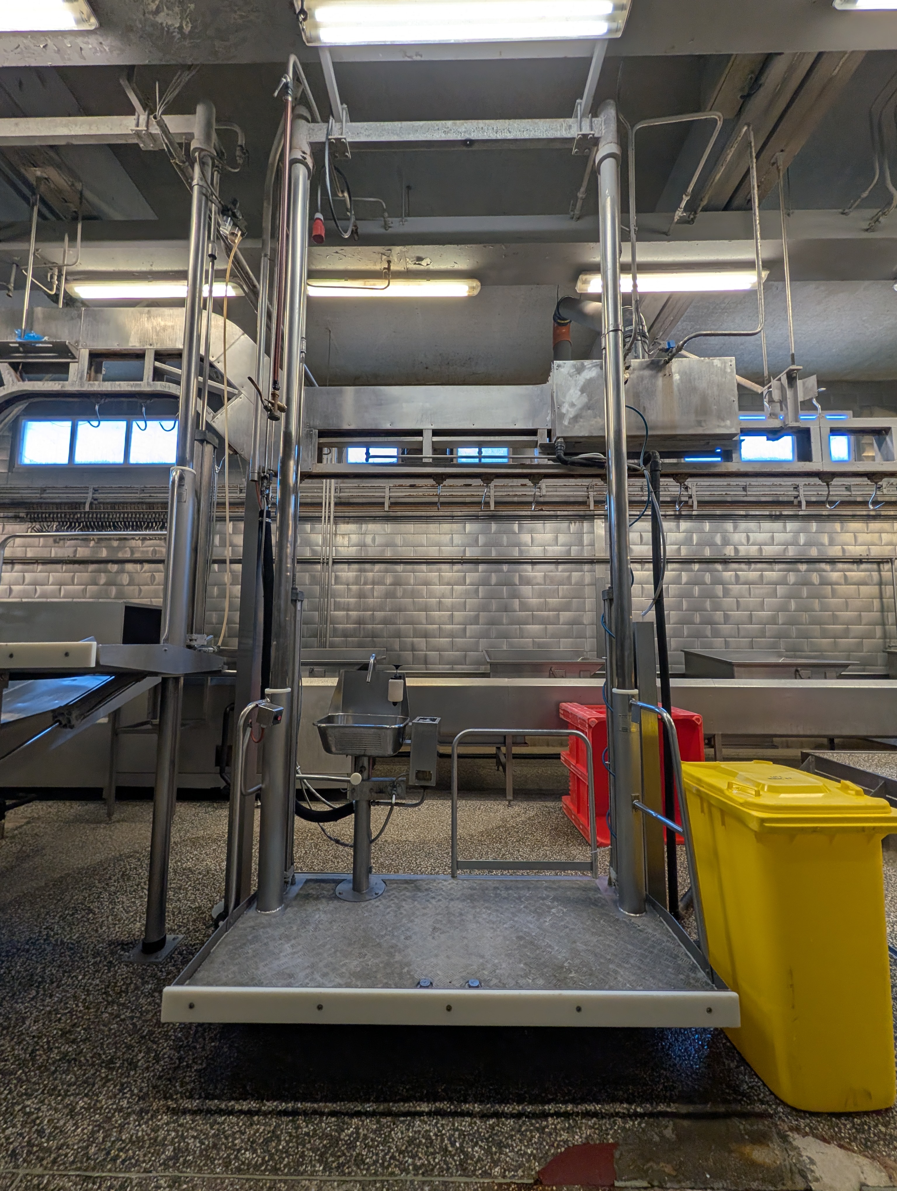 Used 50 cattle per hour slaughterline