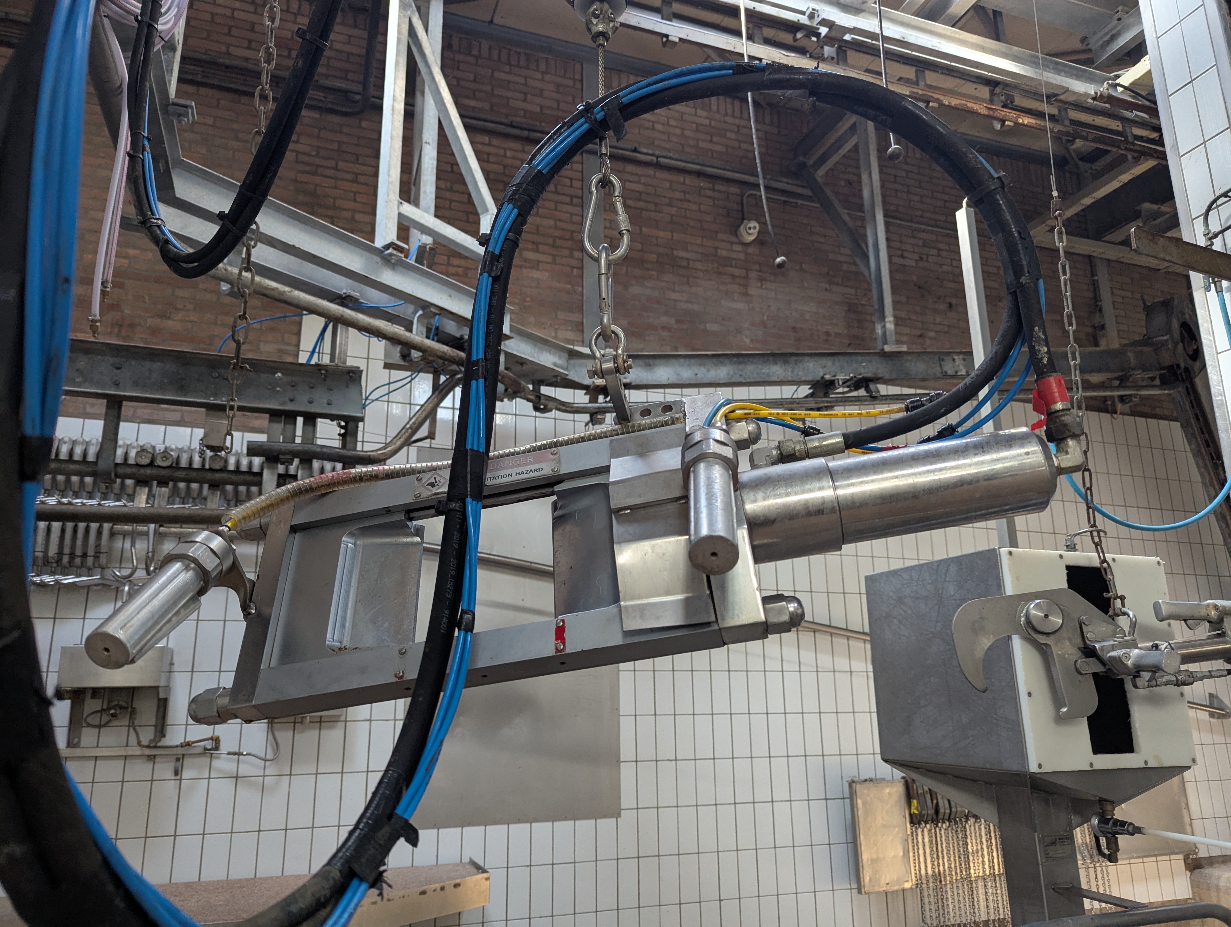 Used Sheep and cattle slaughterline