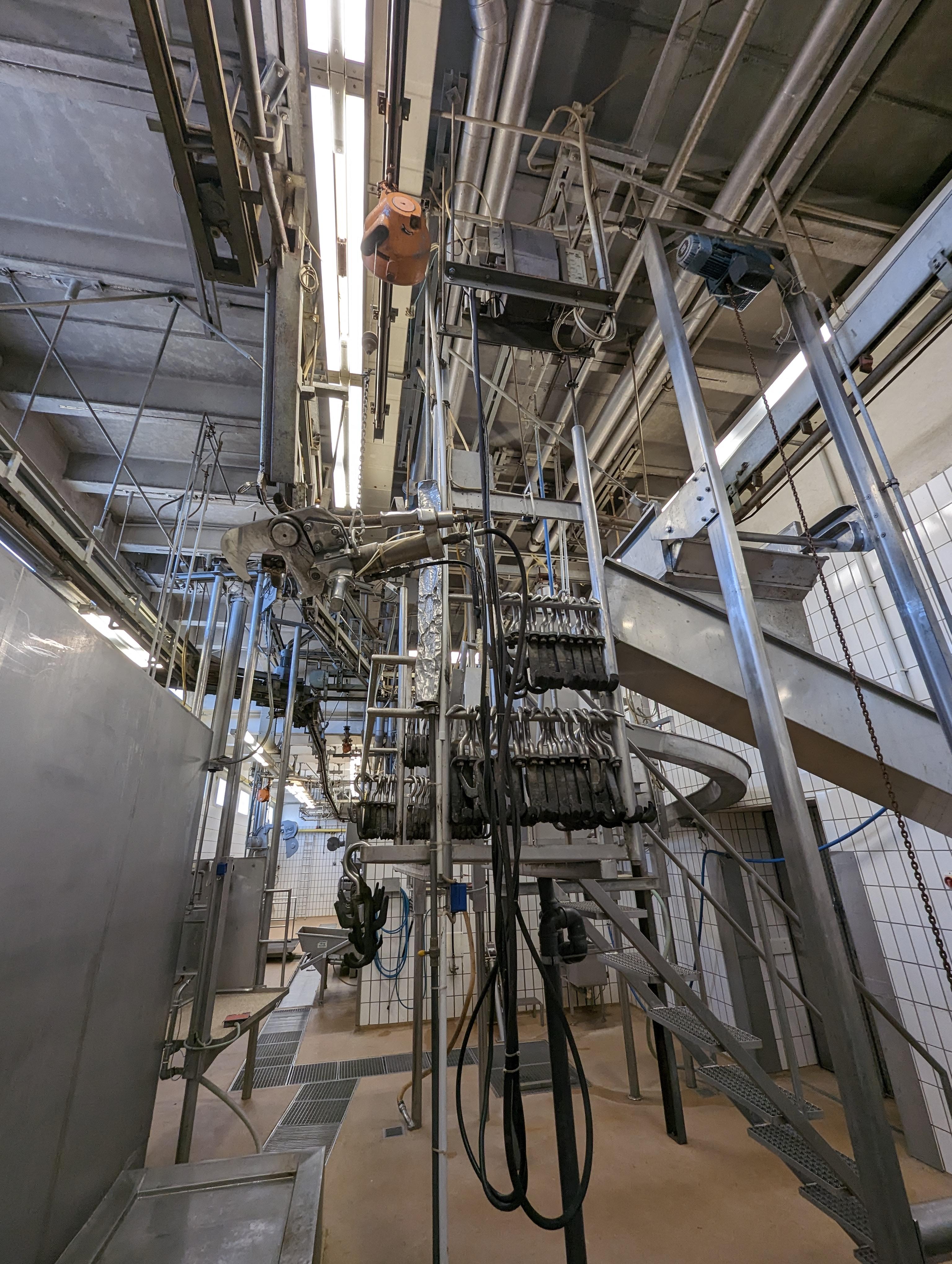 Used Cattle 25 cph - Slaughterline