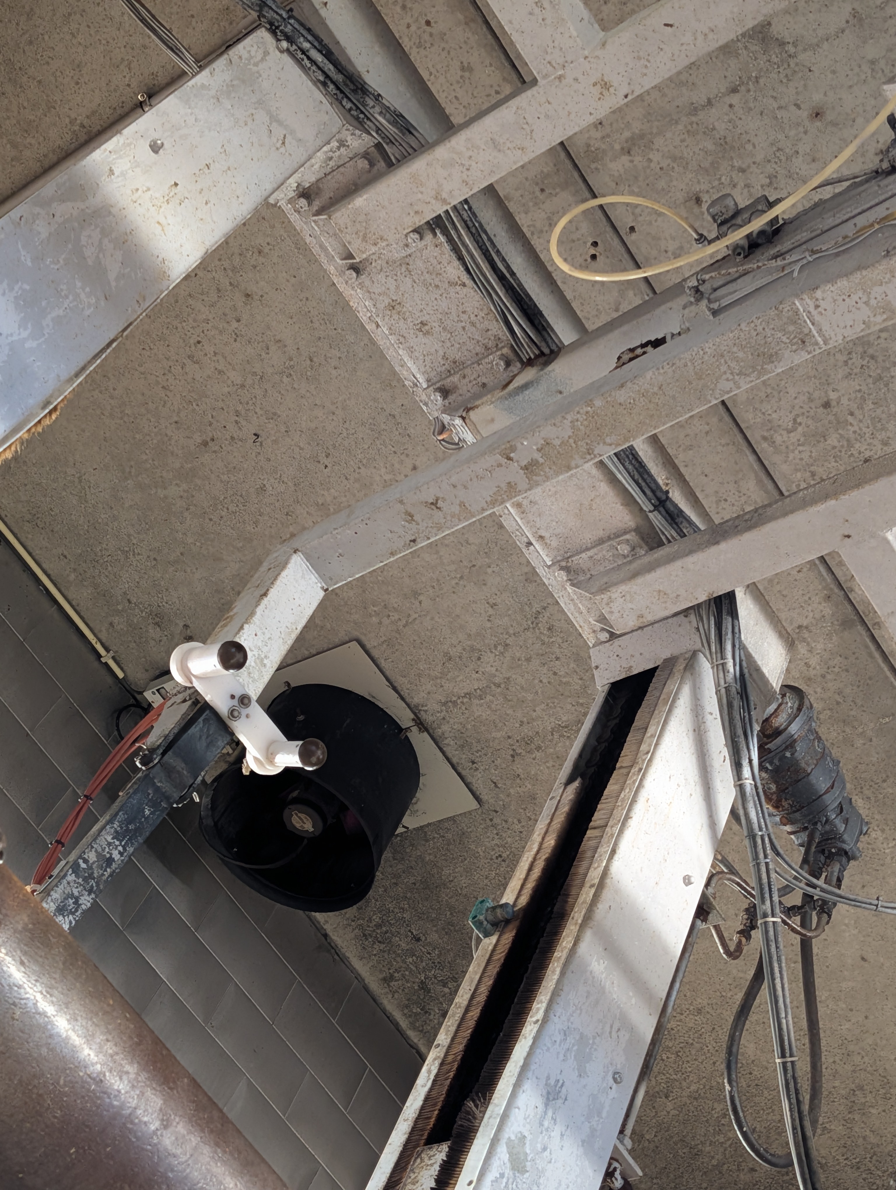 Used 50 cattle per hour slaughterline