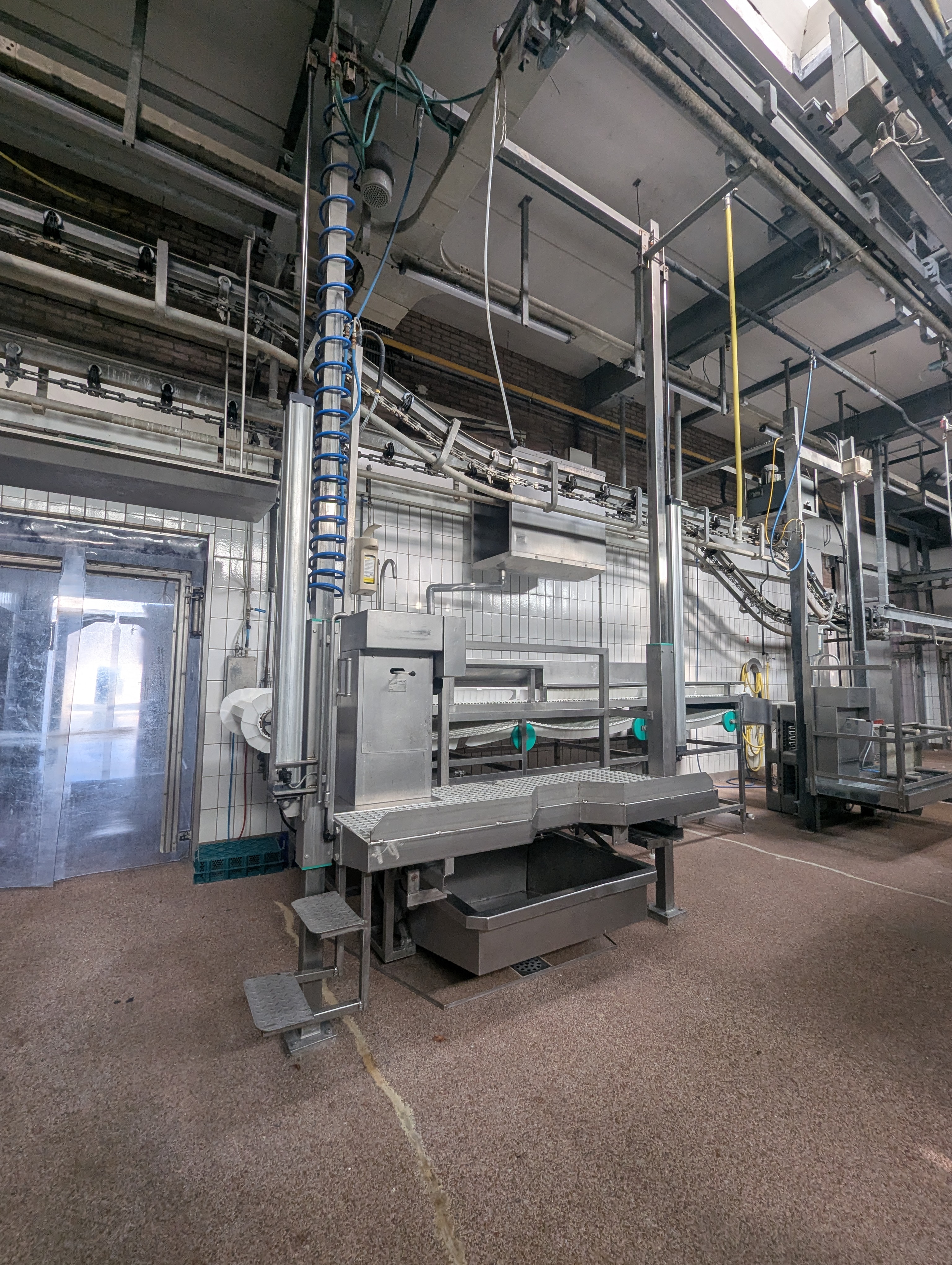 Used Sheep and cattle slaughterline