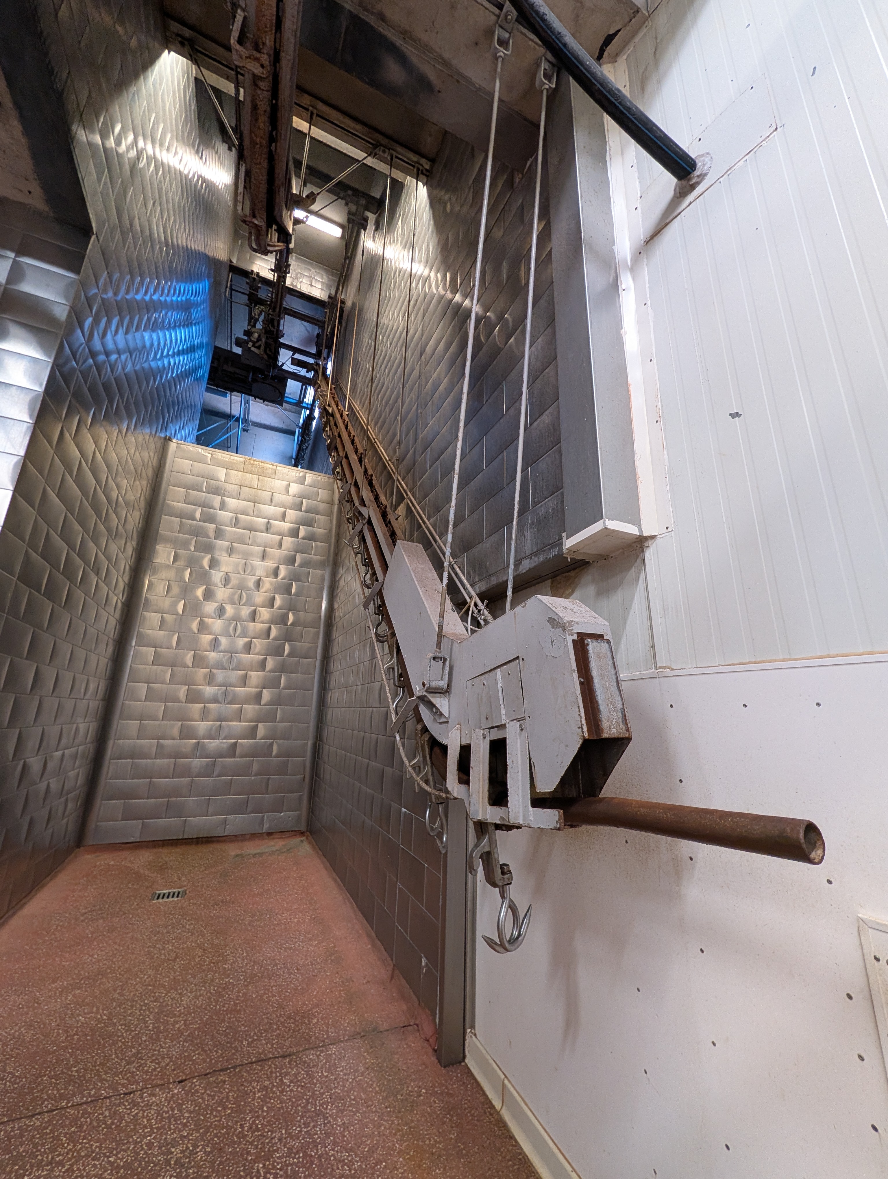 Used 50 cattle per hour slaughterline