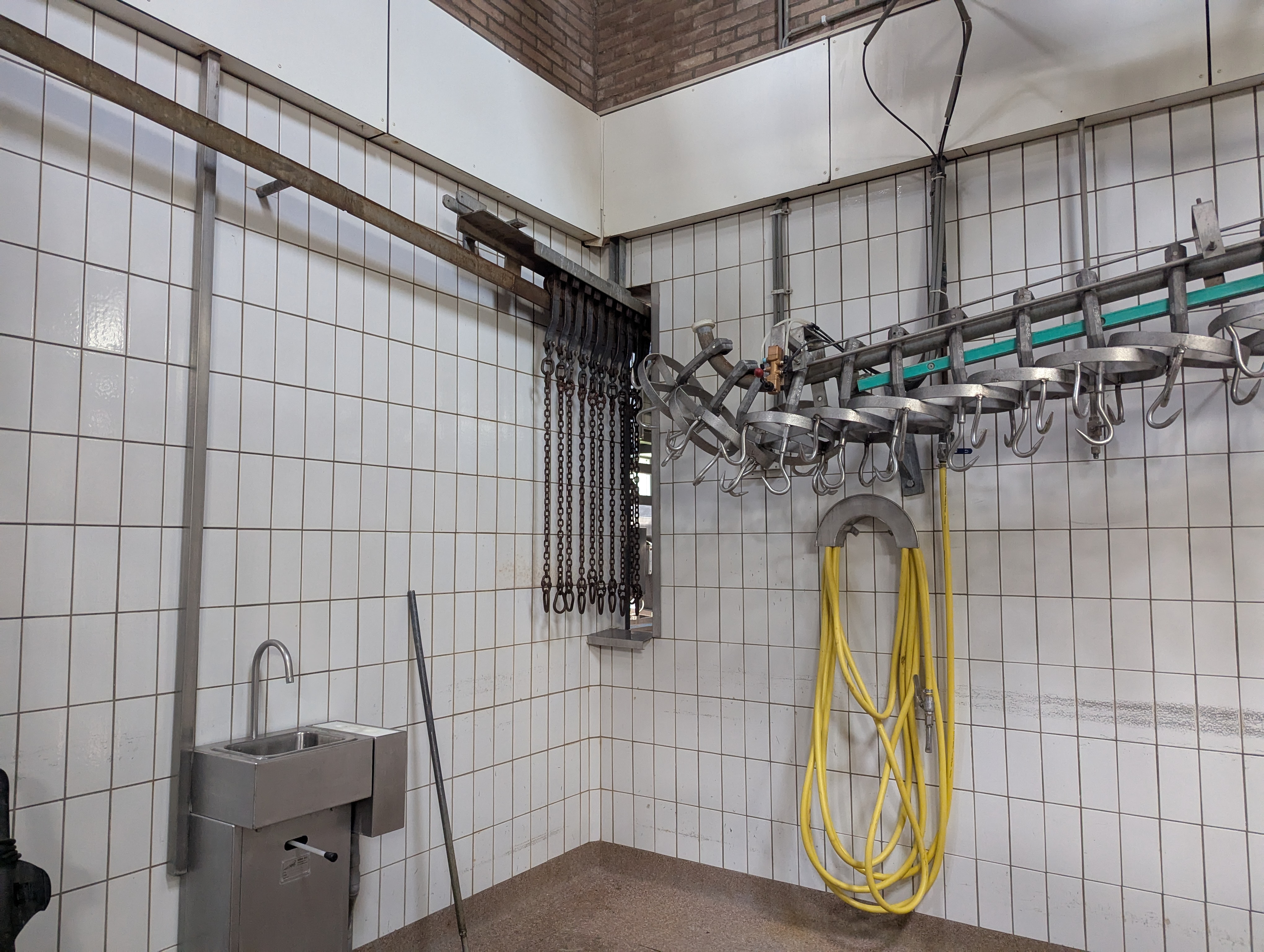 Used Sheep and cattle slaughterline