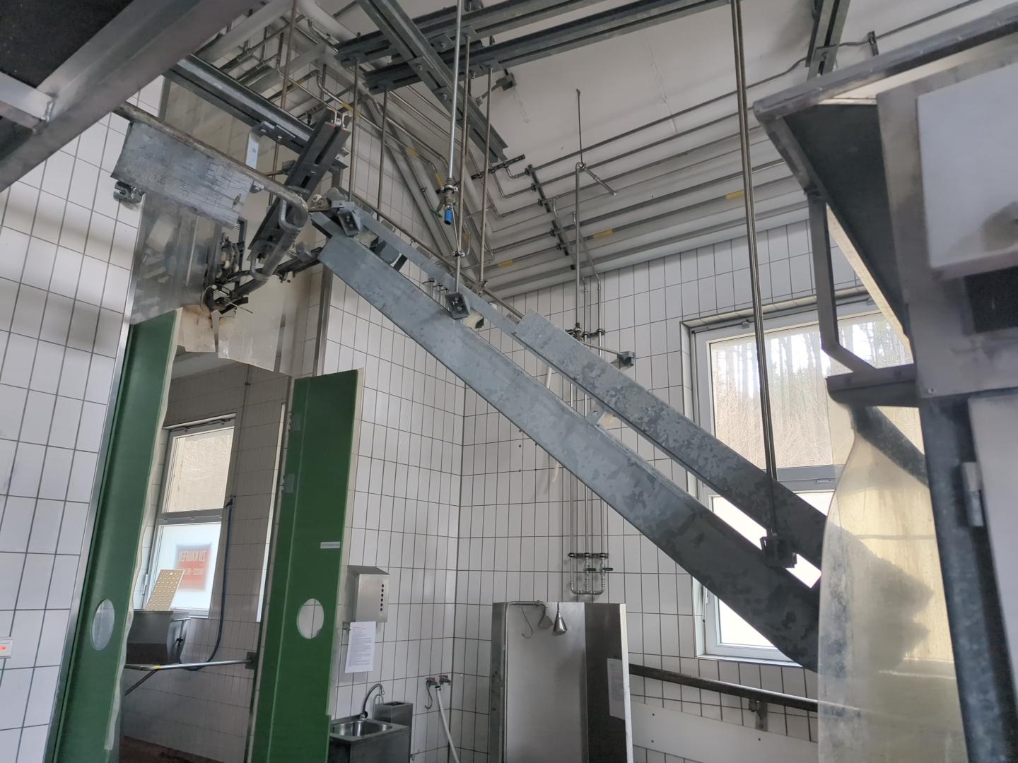 Used Pork and cattle 60 pph or 10 cph - Slaughterhouse