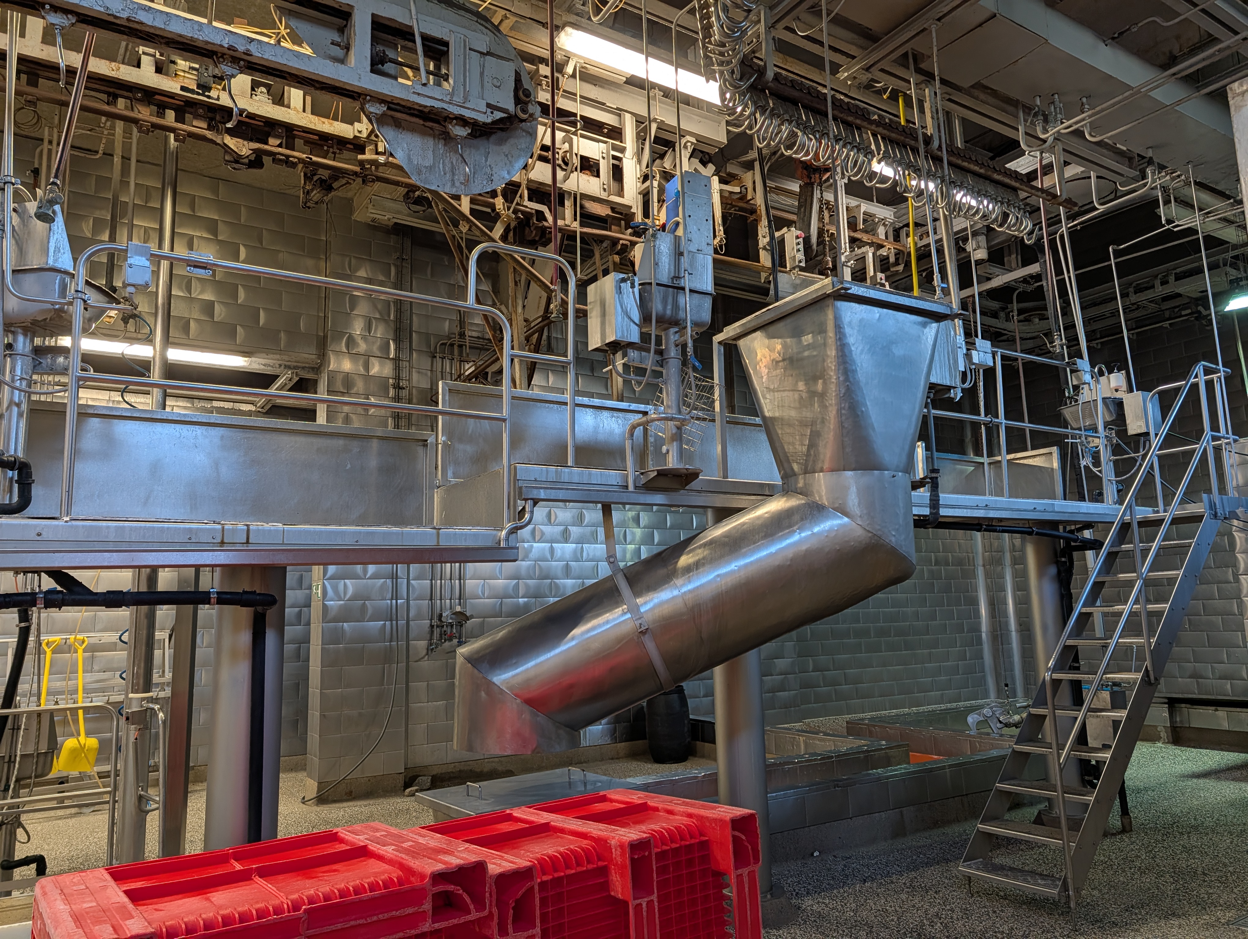 Used 50 cattle per hour slaughterline