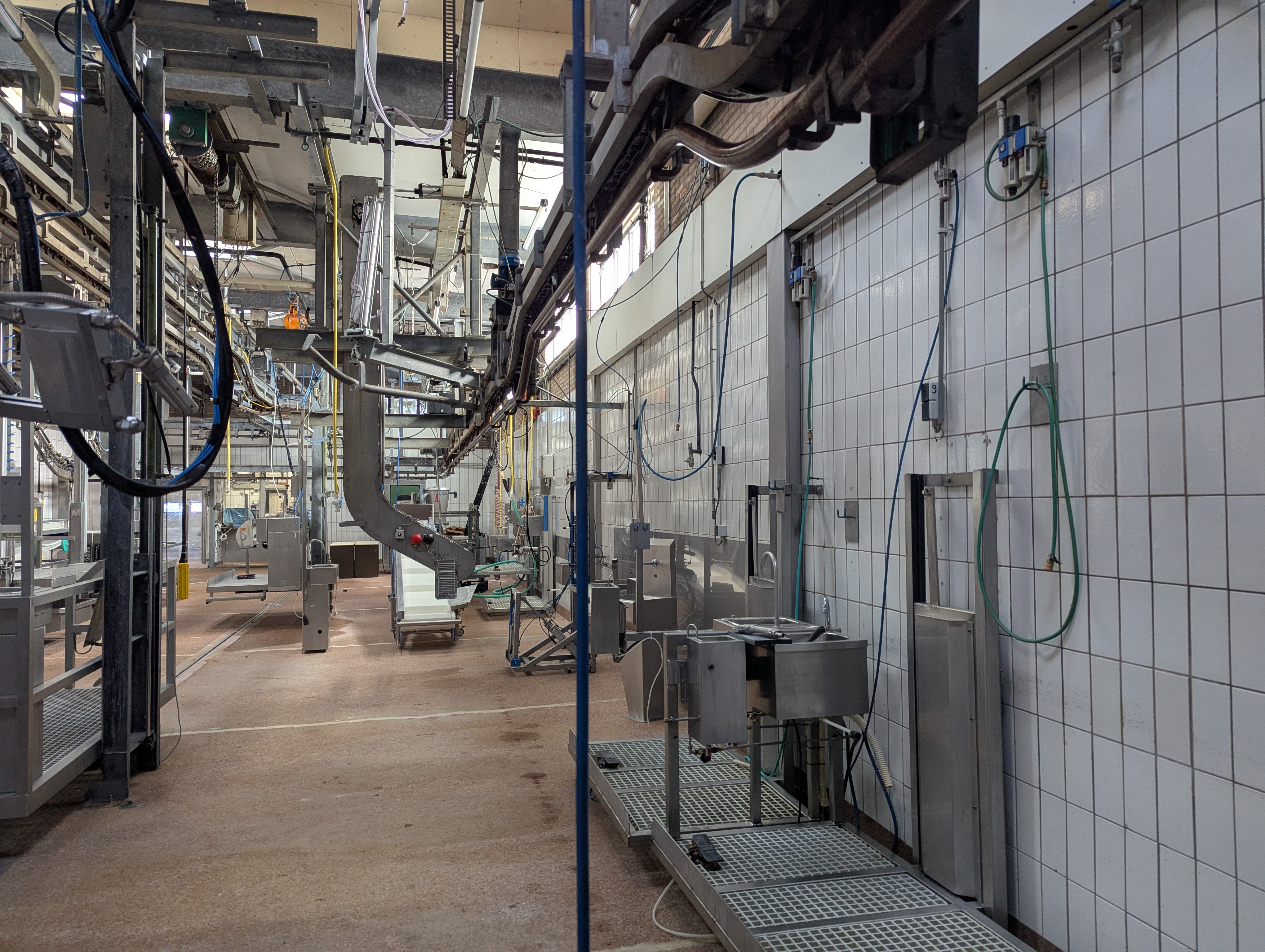 Used Sheep and cattle slaughterline