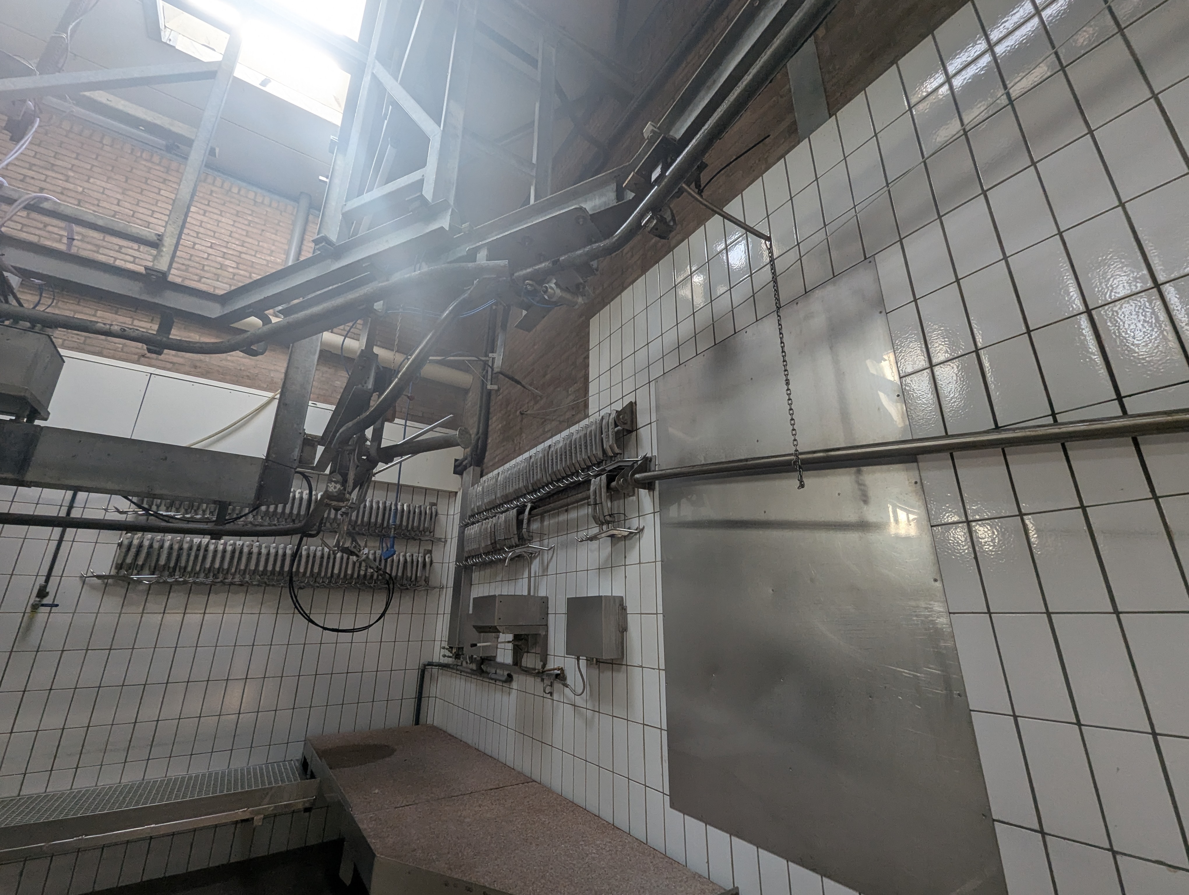 Used Sheep and cattle slaughterline