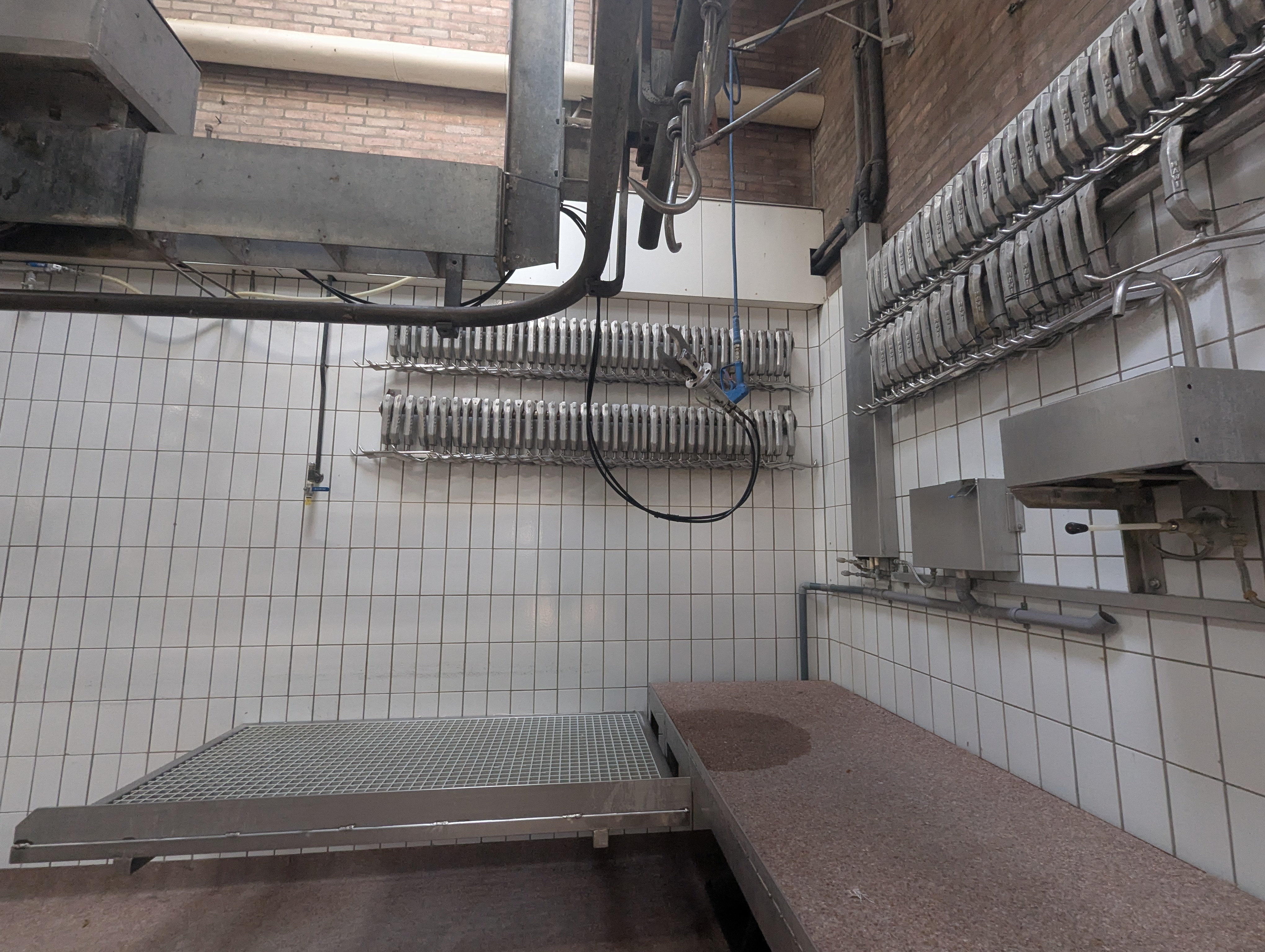 Used Sheep and cattle slaughterline