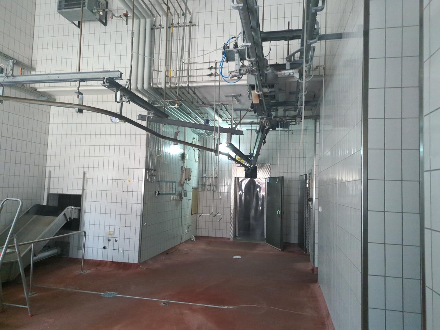 Used Pork and cattle 60 pph or 10 cph - Slaughterhouse