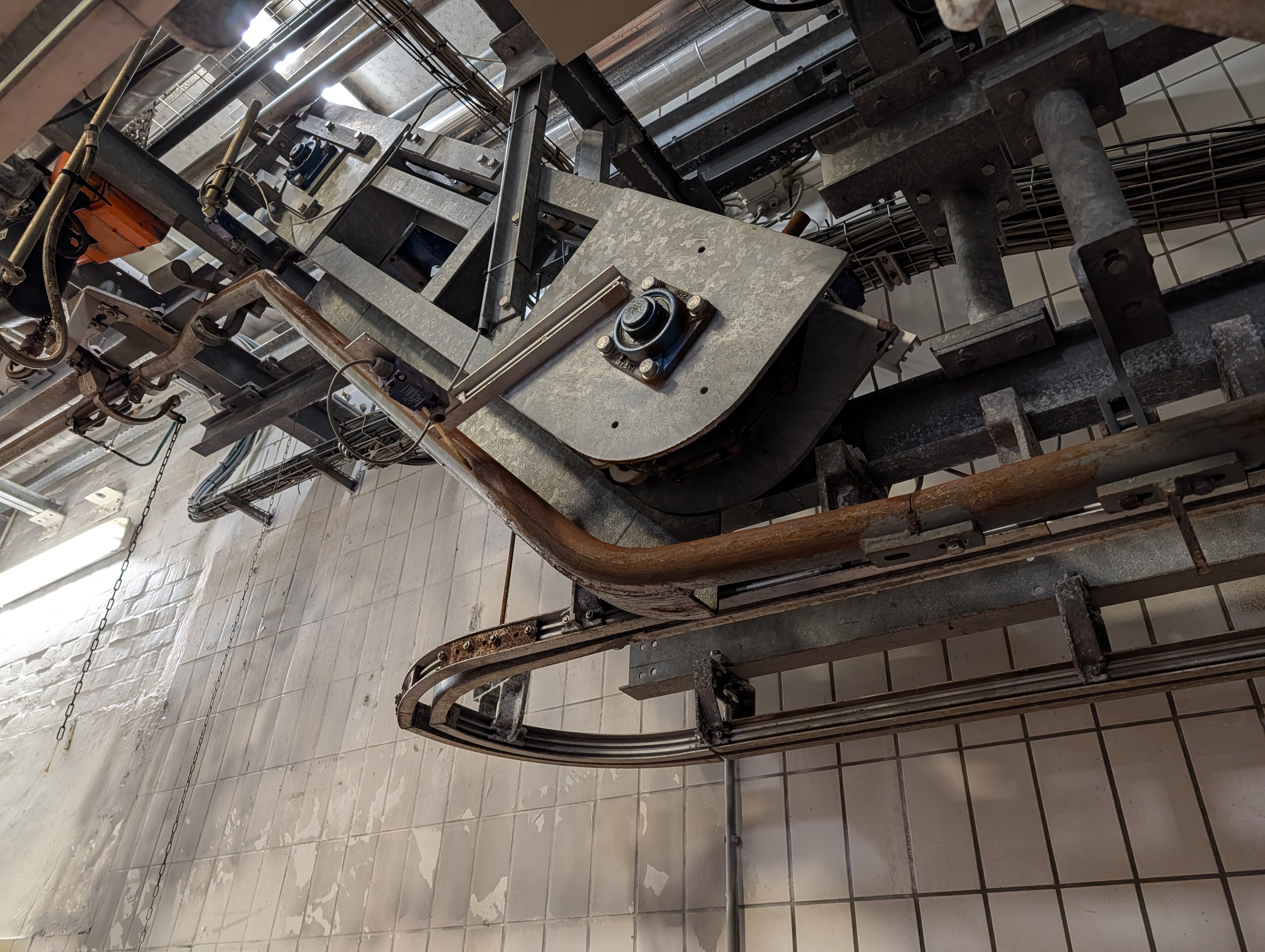 Used 50 cattle per hour slaughterline