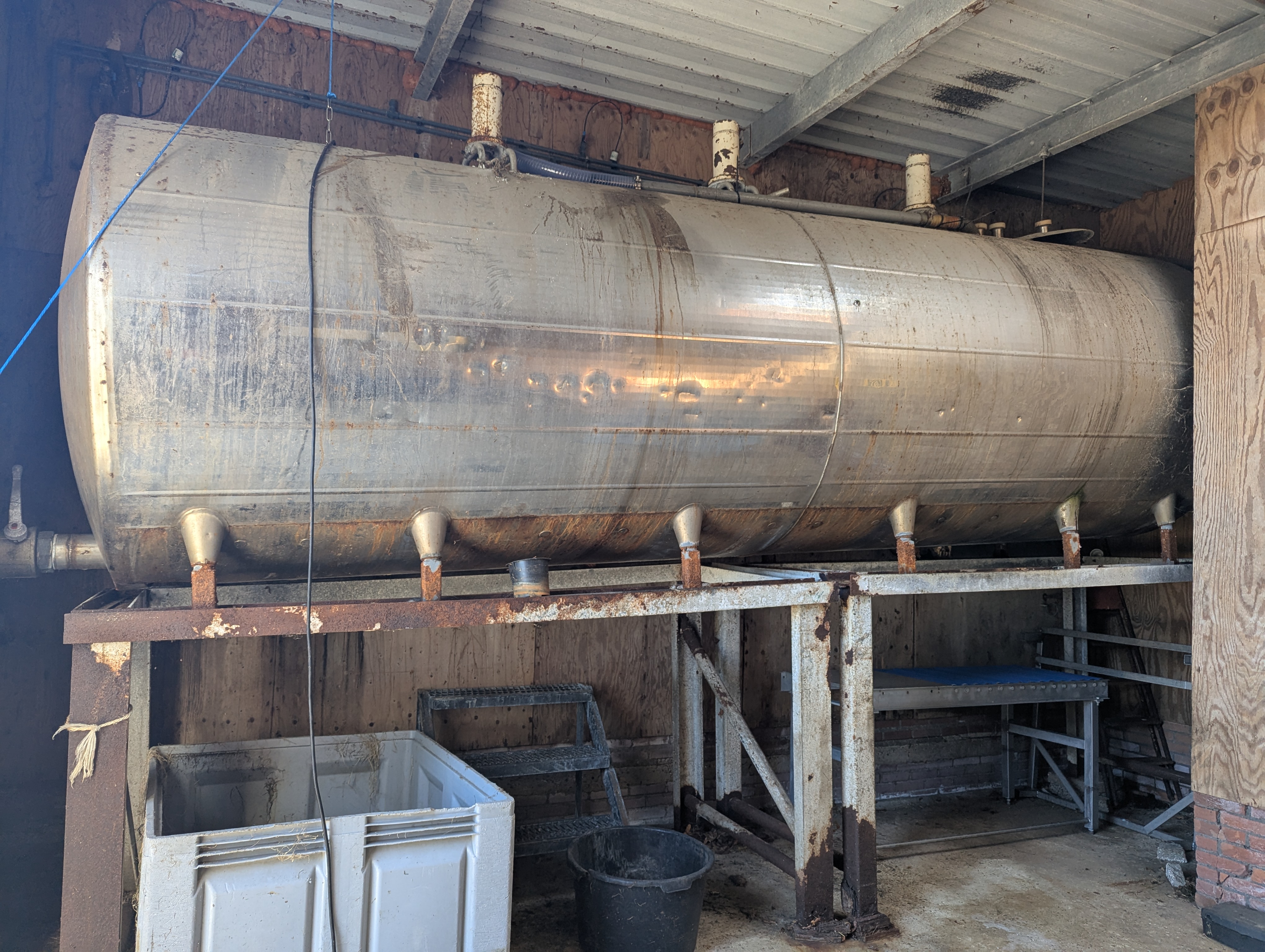 Used Sheep and cattle slaughterline