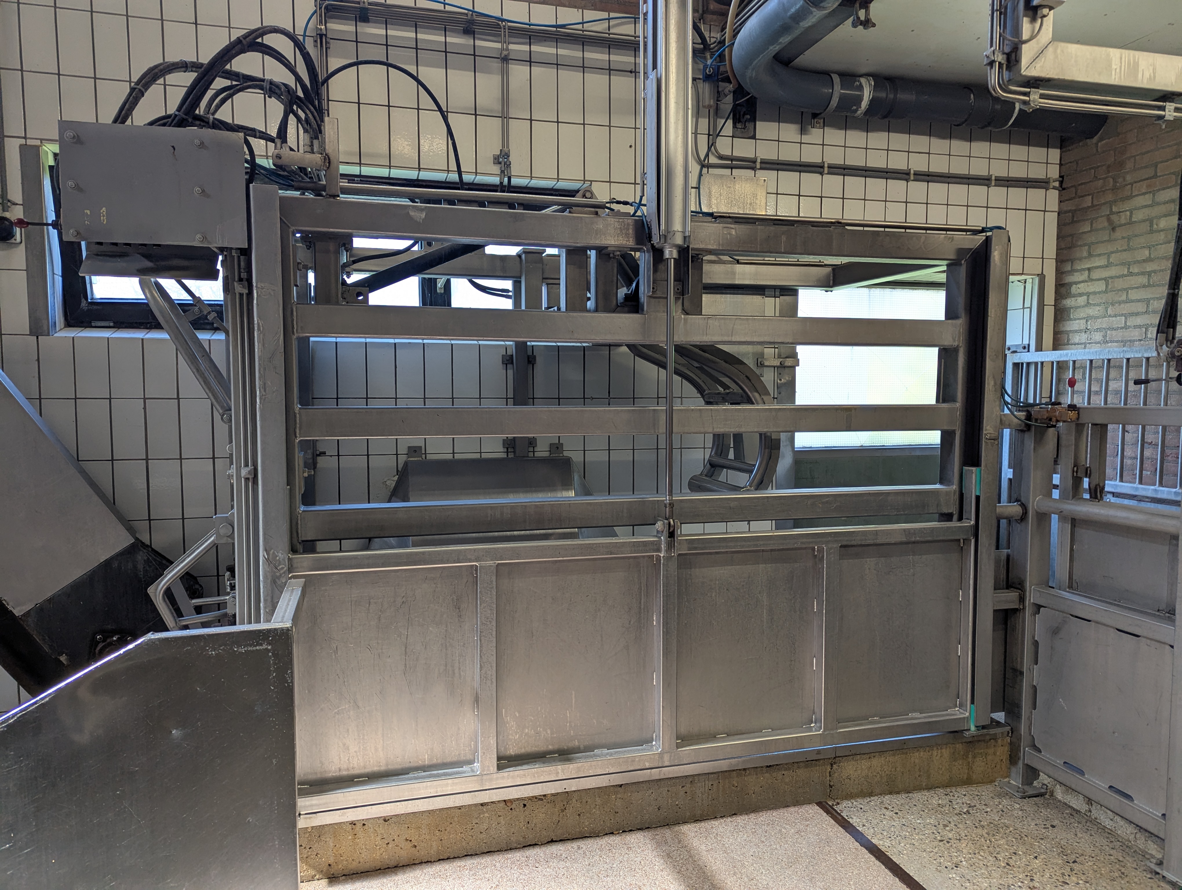 Used Sheep and cattle slaughterline