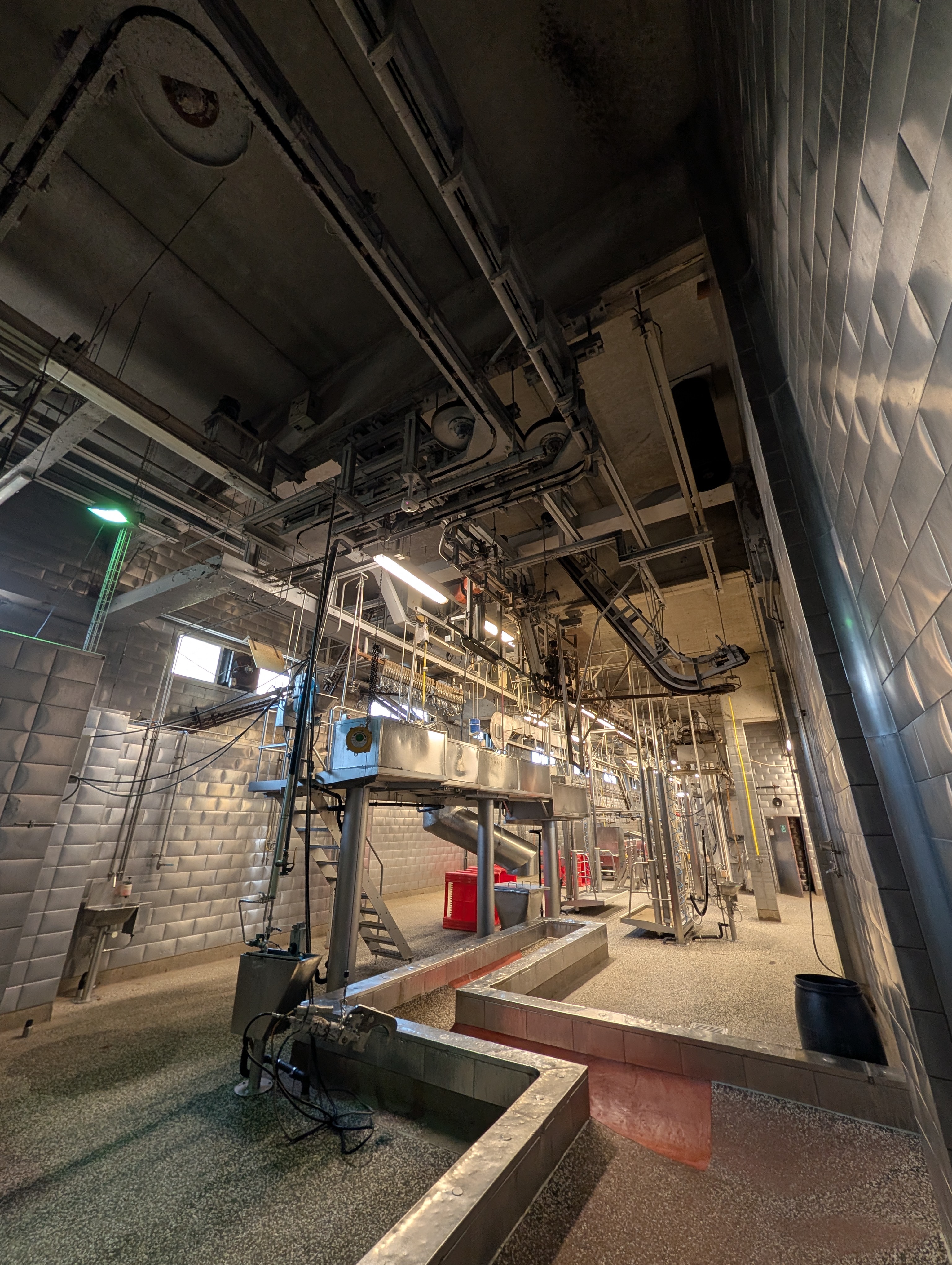 Used 50 cattle per hour slaughterline