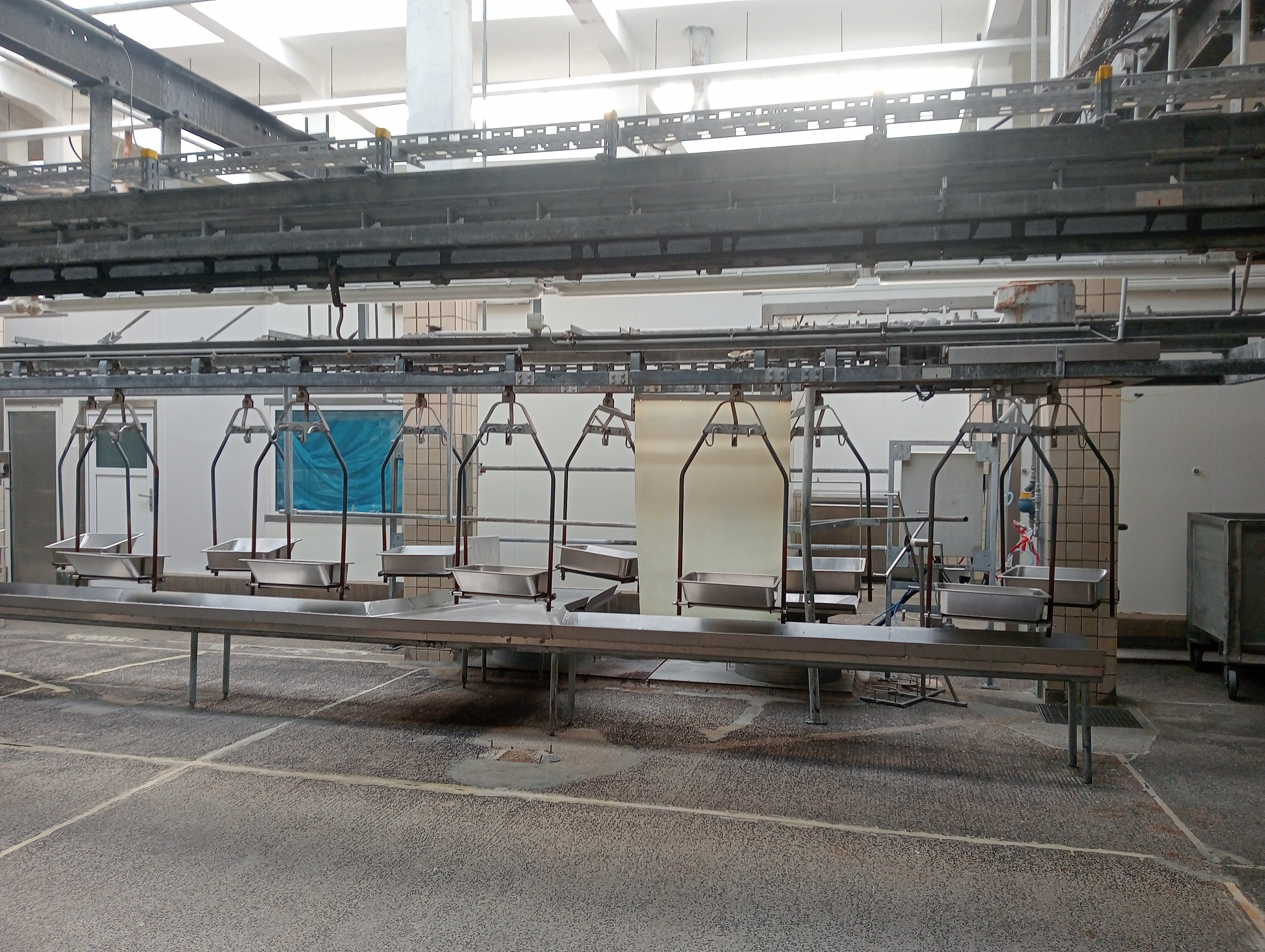 Used Organ conveyor