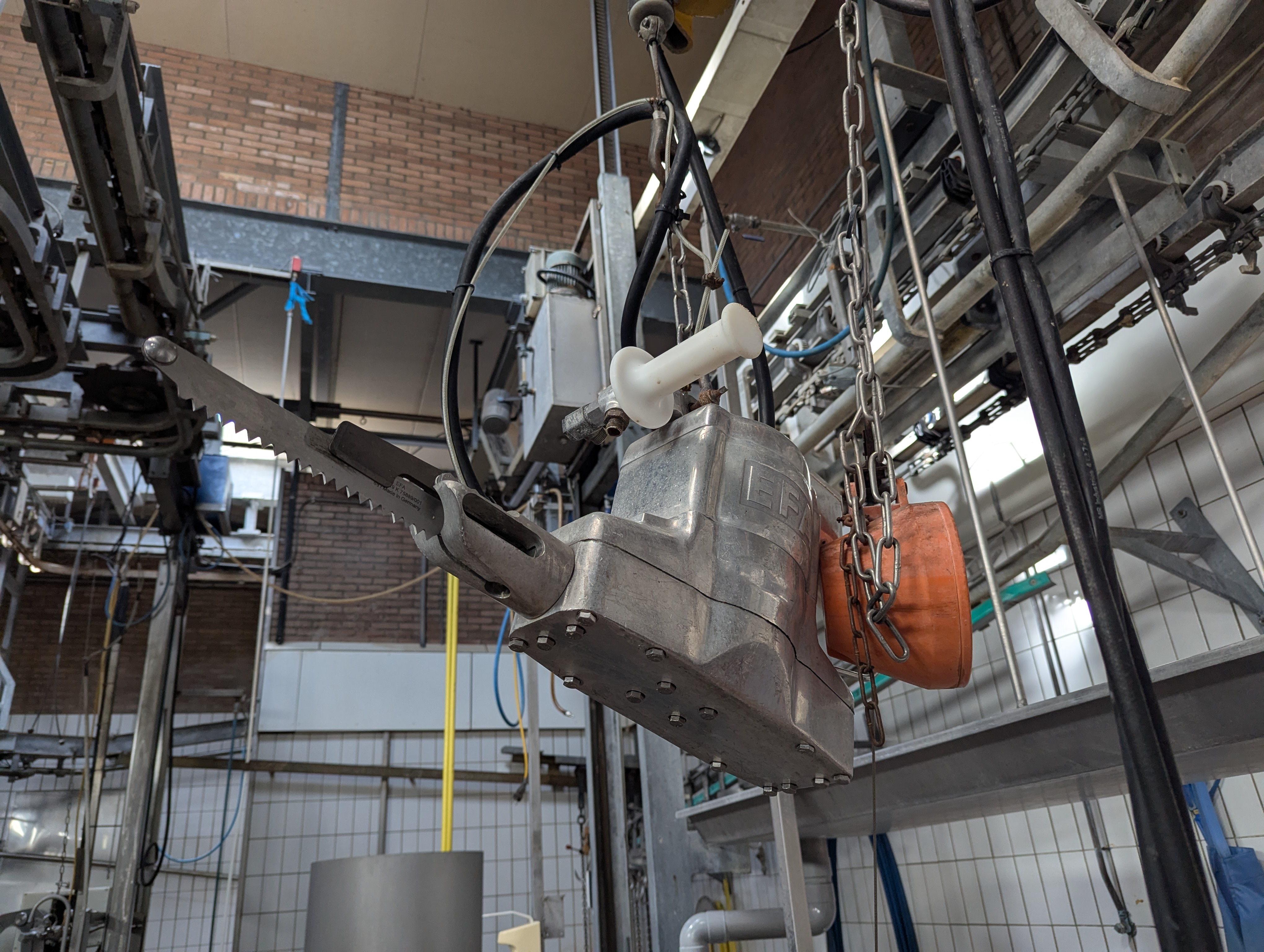 Used Sheep and cattle slaughterline