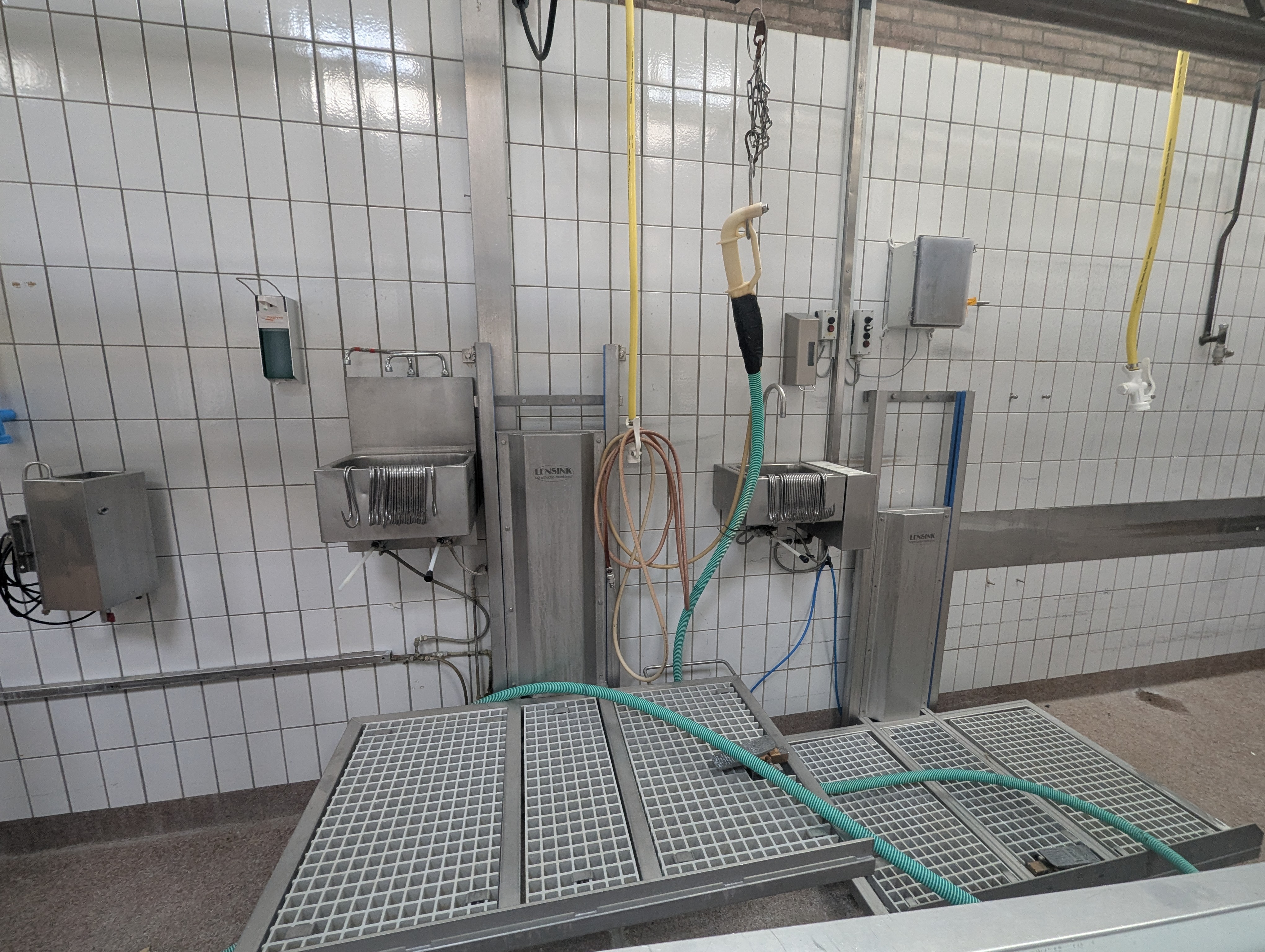 Used Sheep and cattle slaughterline