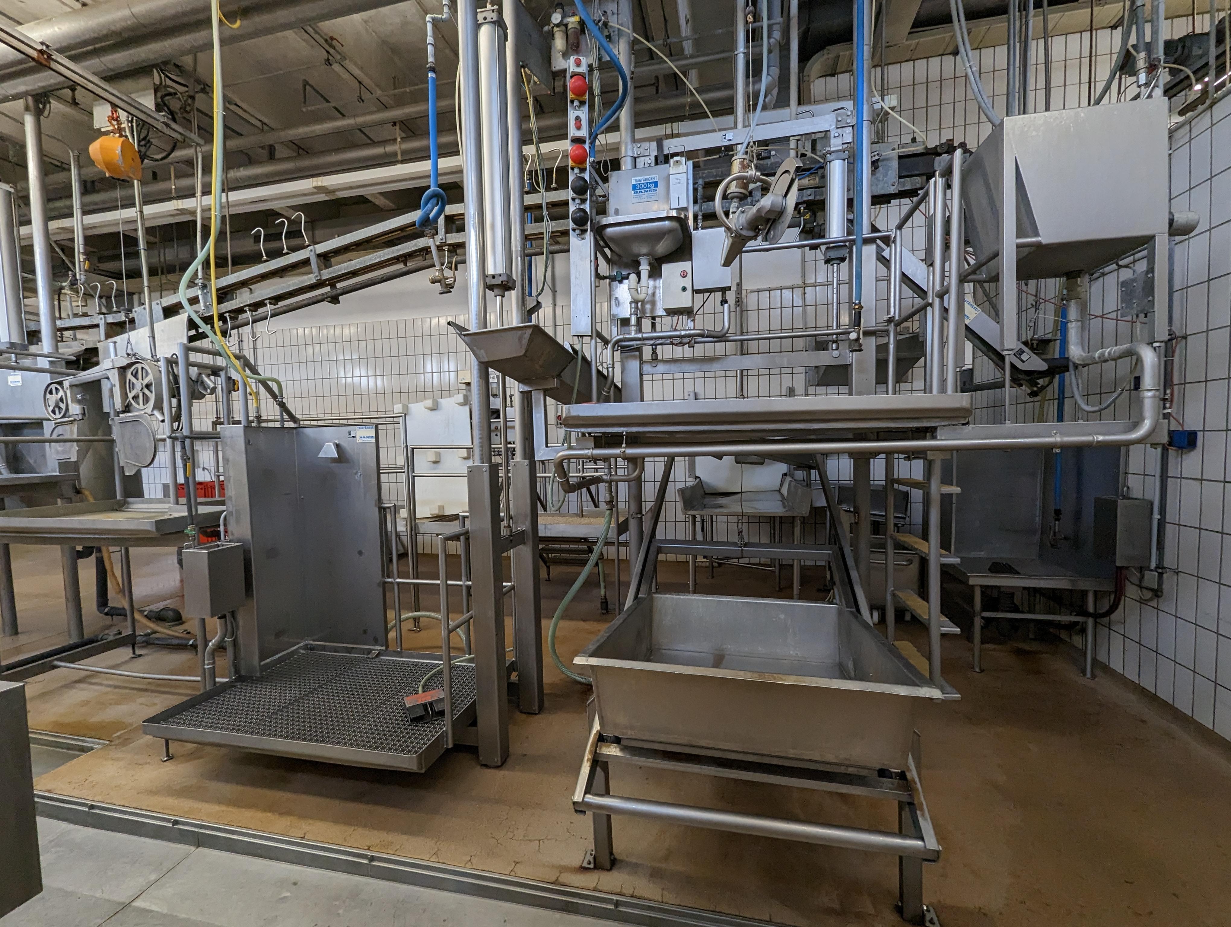 Used Cattle 25 cph - Slaughterline