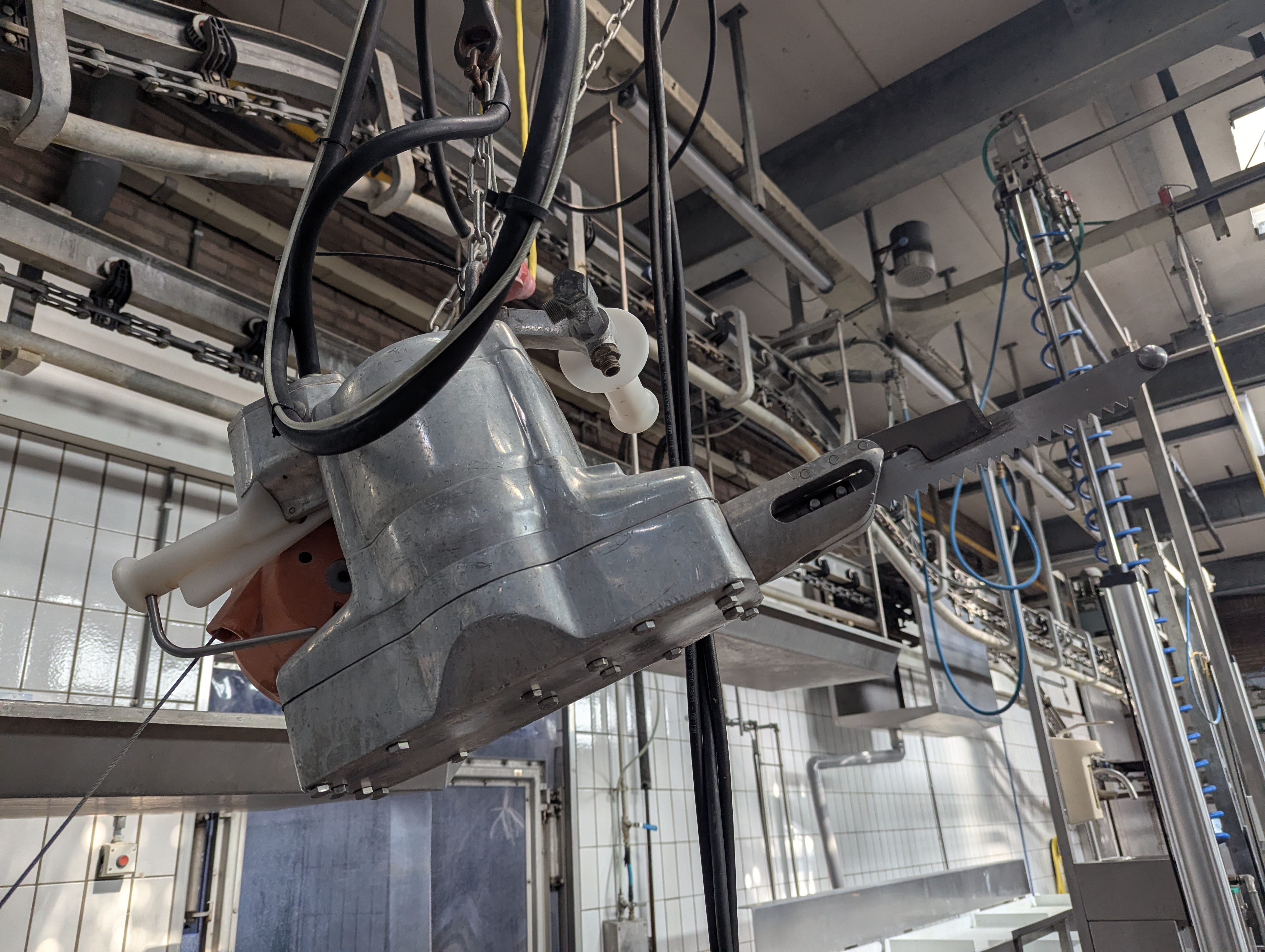 Used Sheep and cattle slaughterline