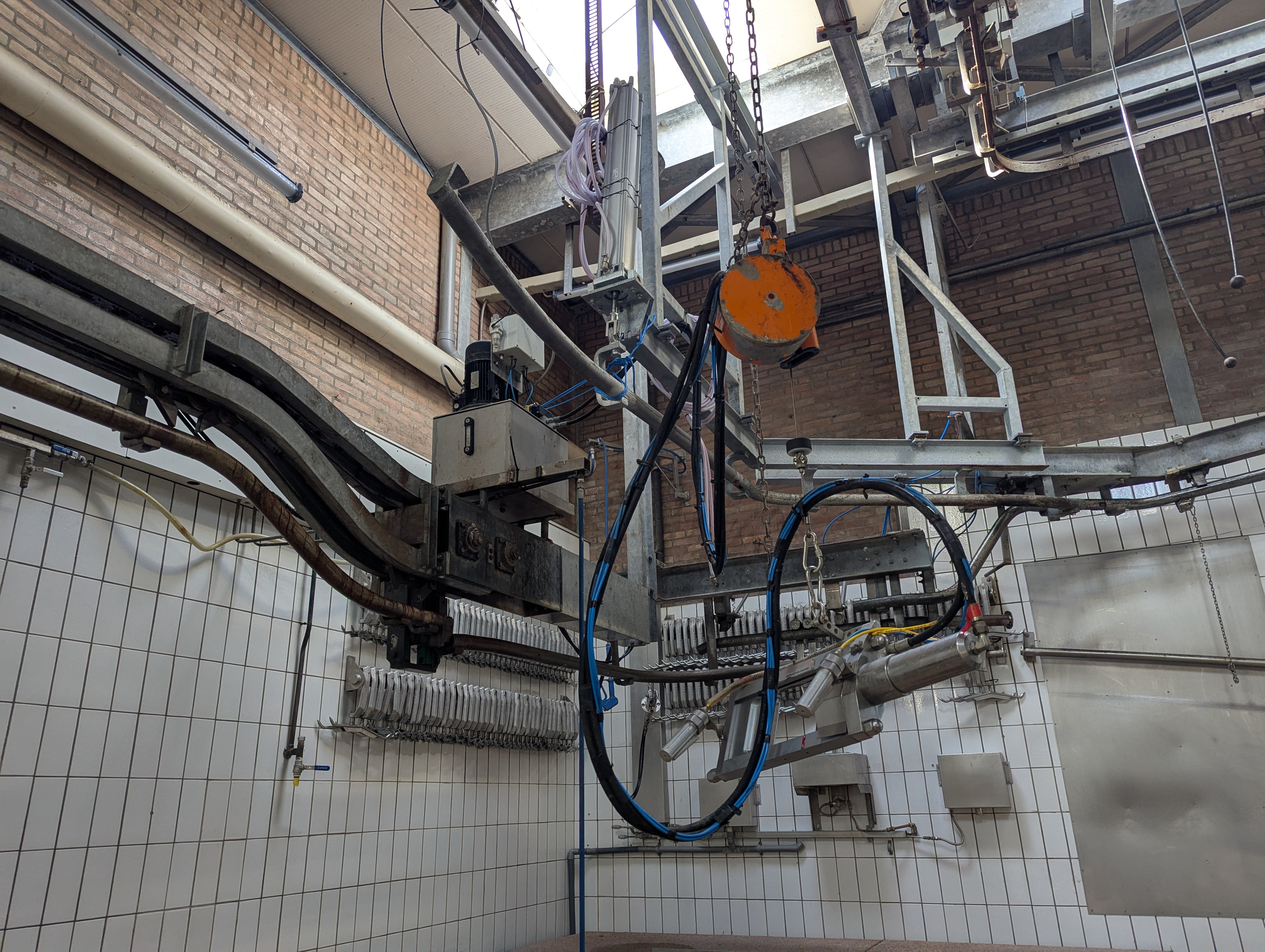 Used Sheep and cattle slaughterline