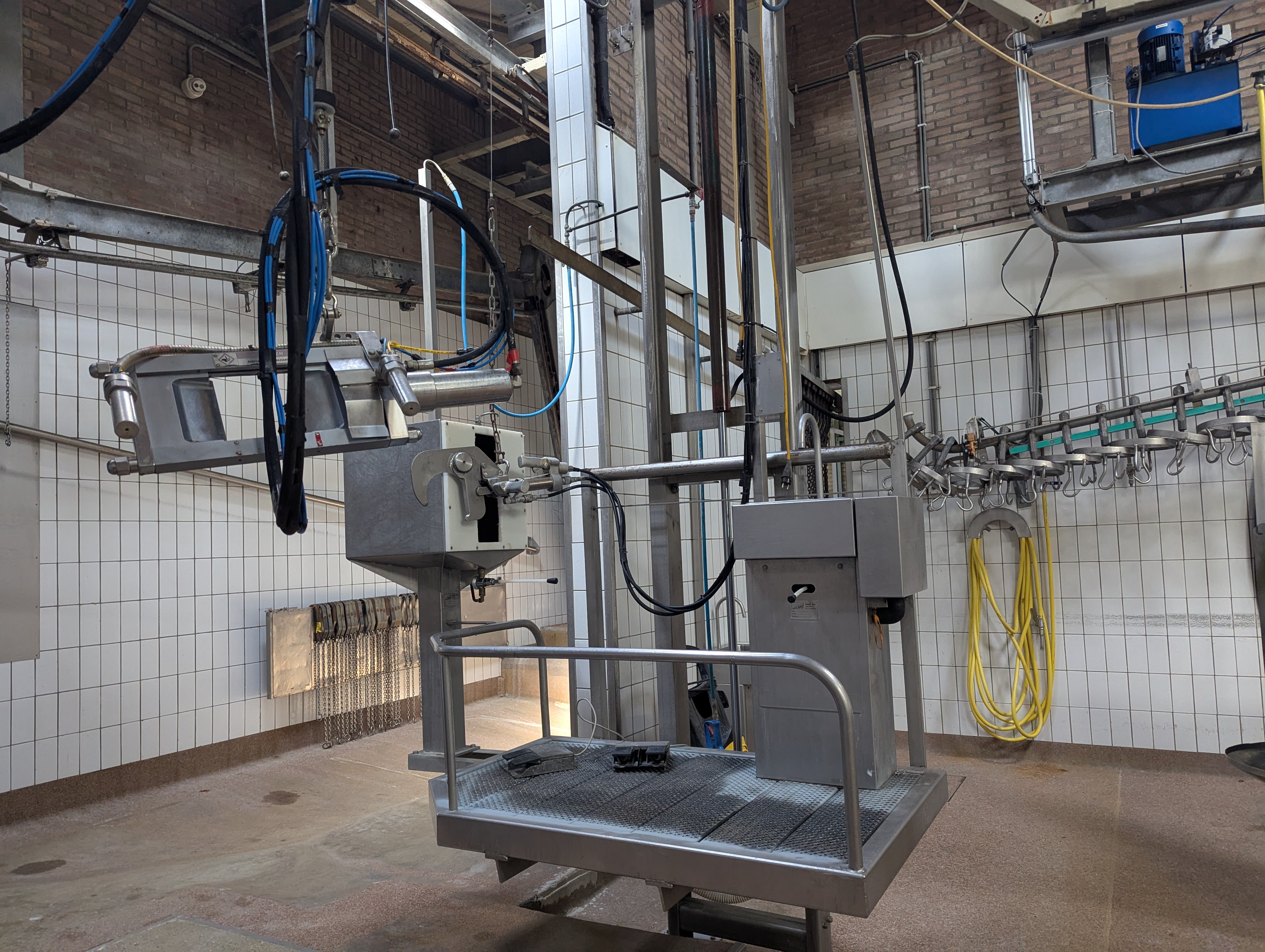 Used Sheep and cattle slaughterline