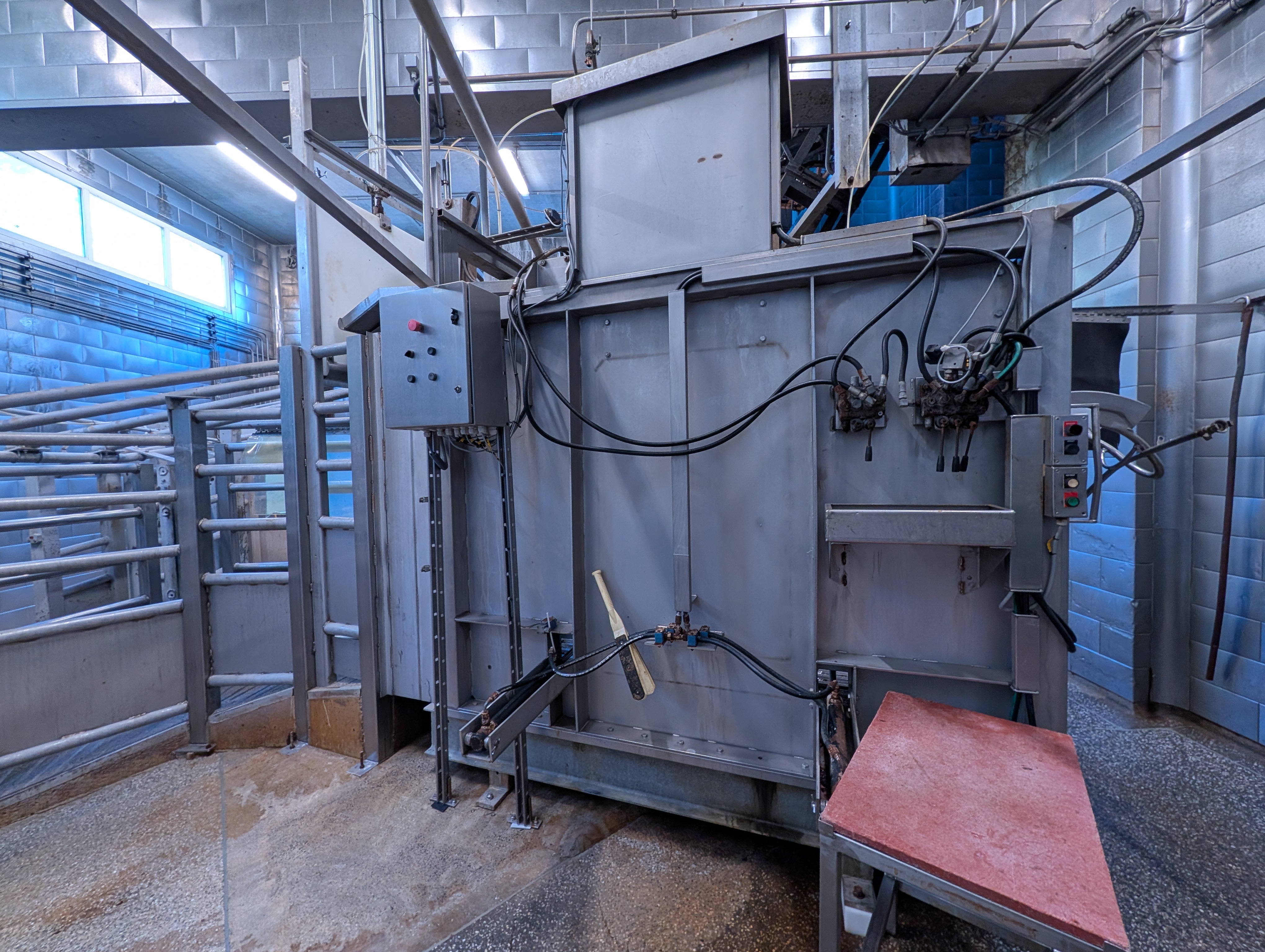 Used 50 cattle per hour slaughterline