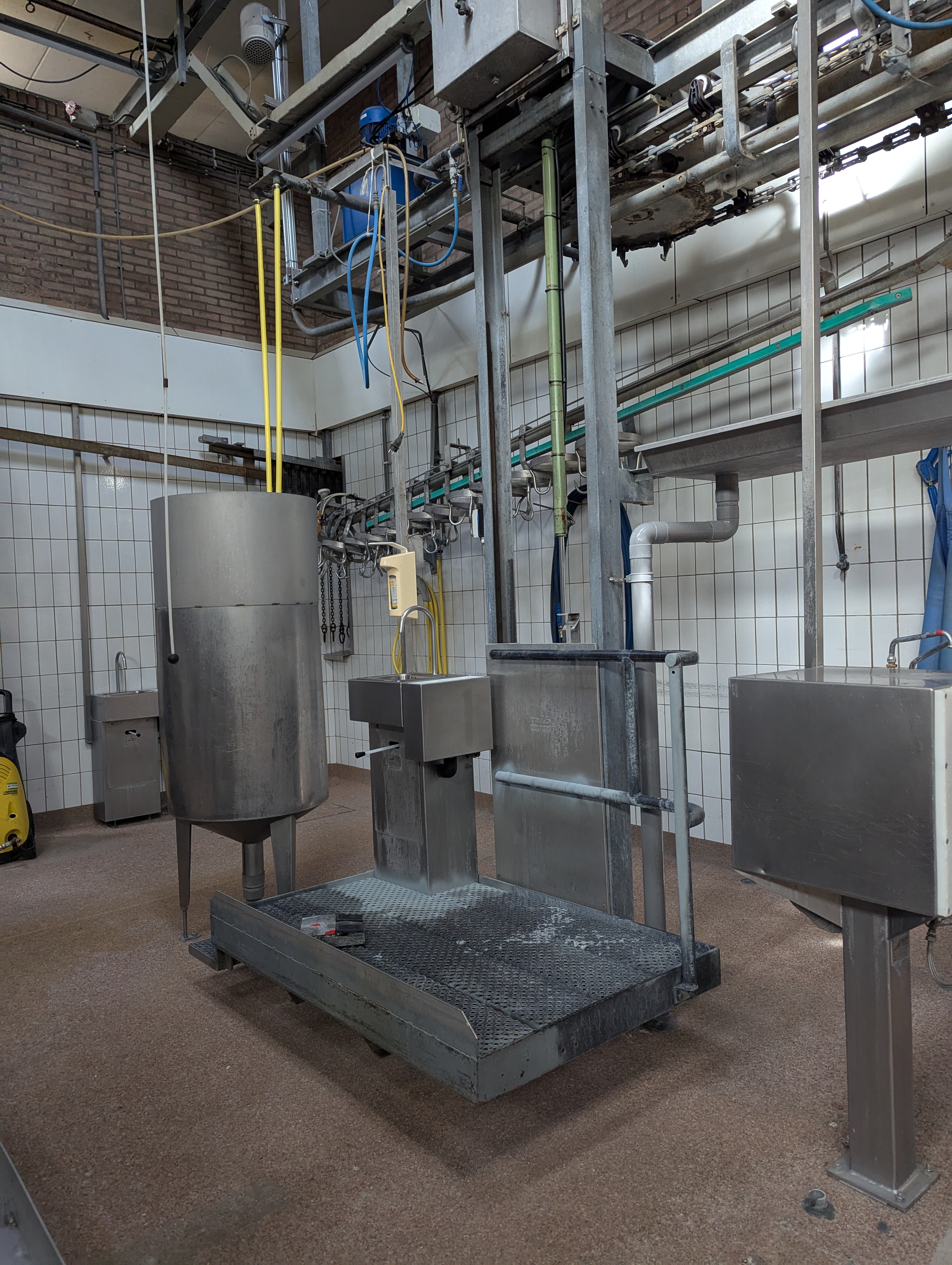 Used Sheep and cattle slaughterline