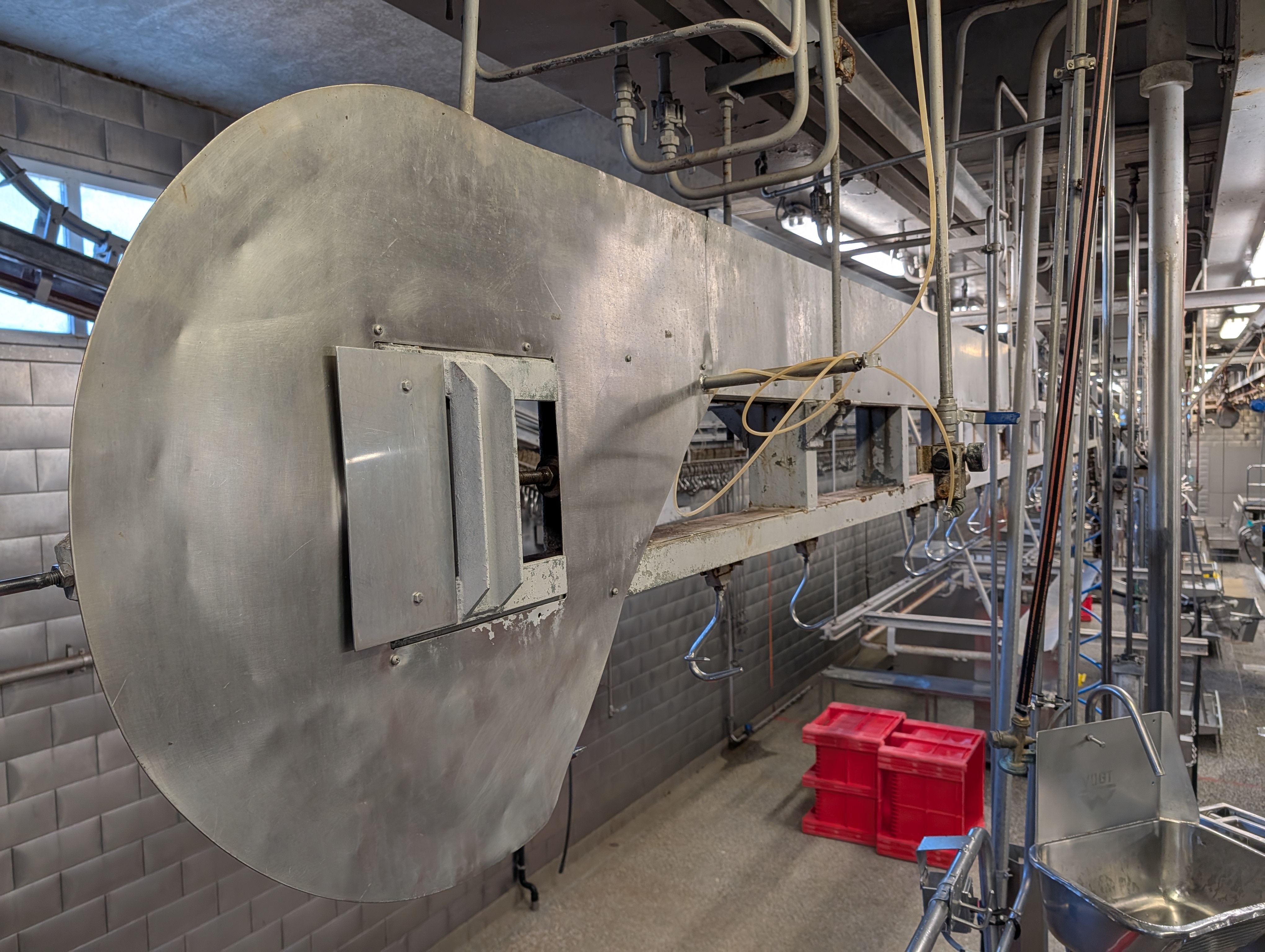 Used 50 cattle per hour slaughterline