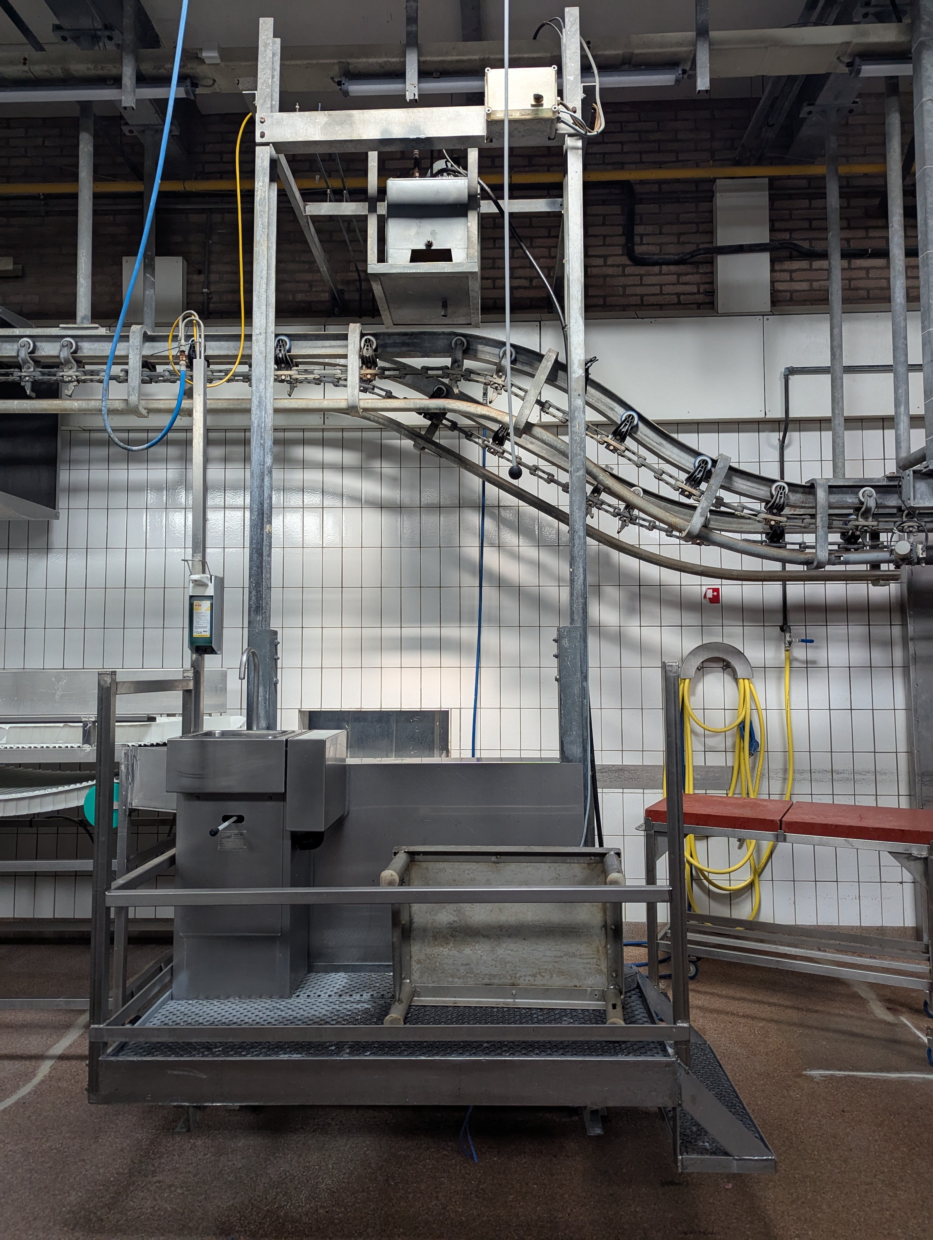 Used Sheep and cattle slaughterline