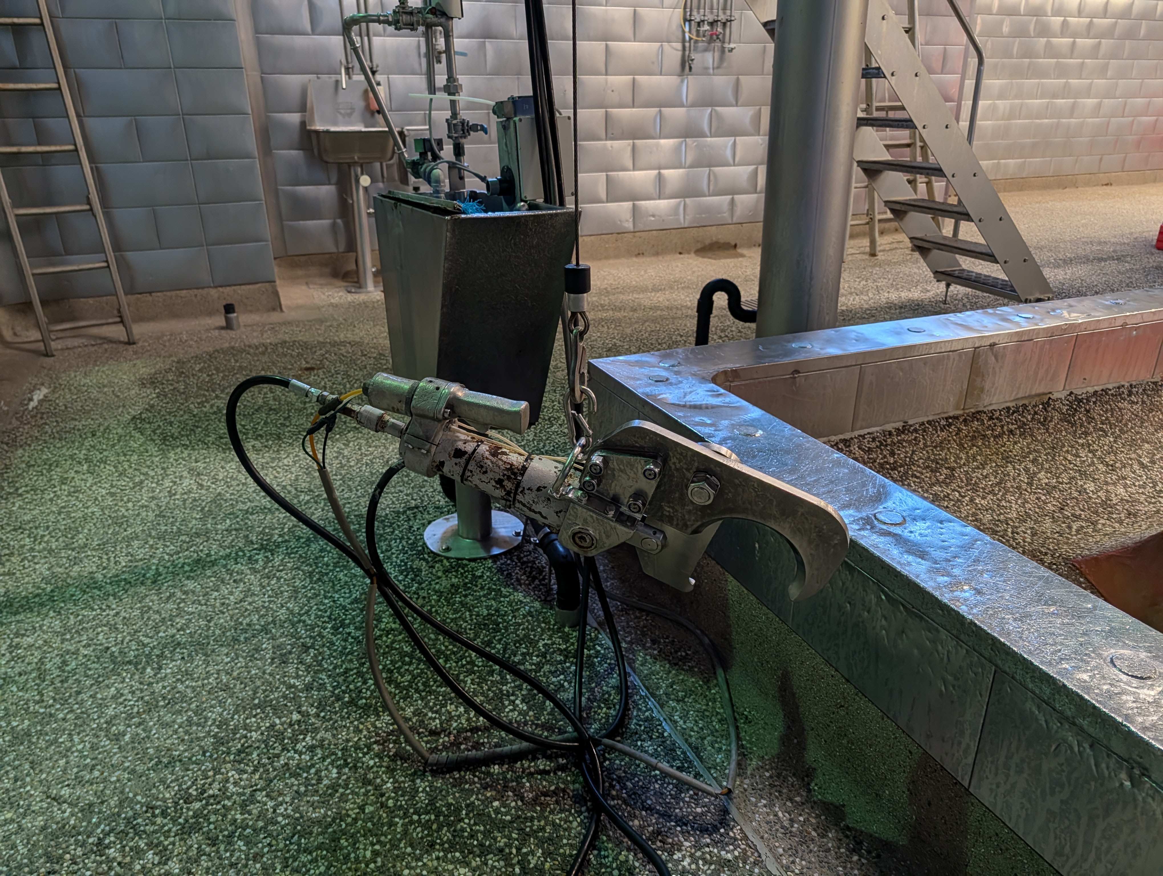 Used 50 cattle per hour slaughterline