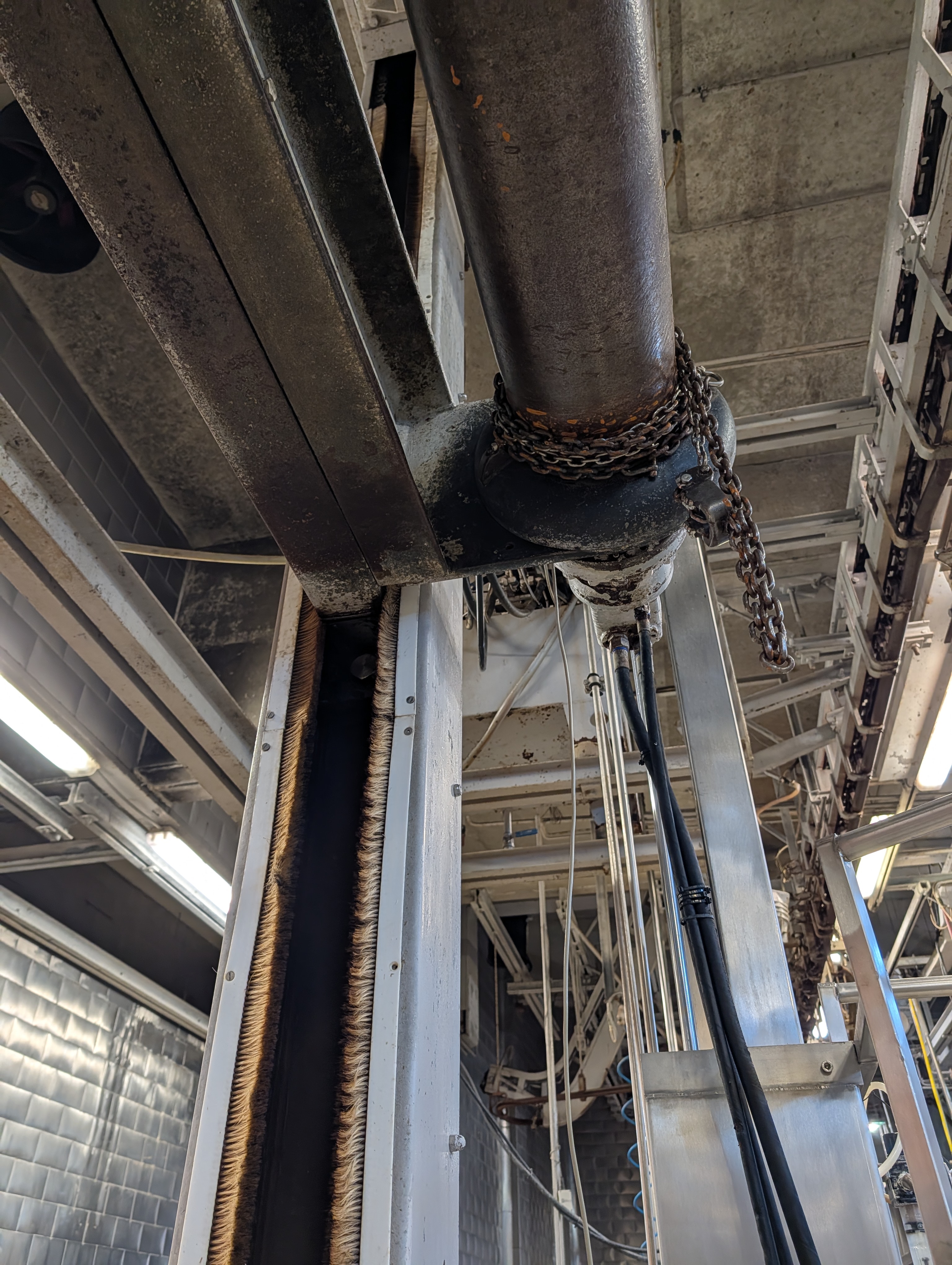 Used 50 cattle per hour slaughterline