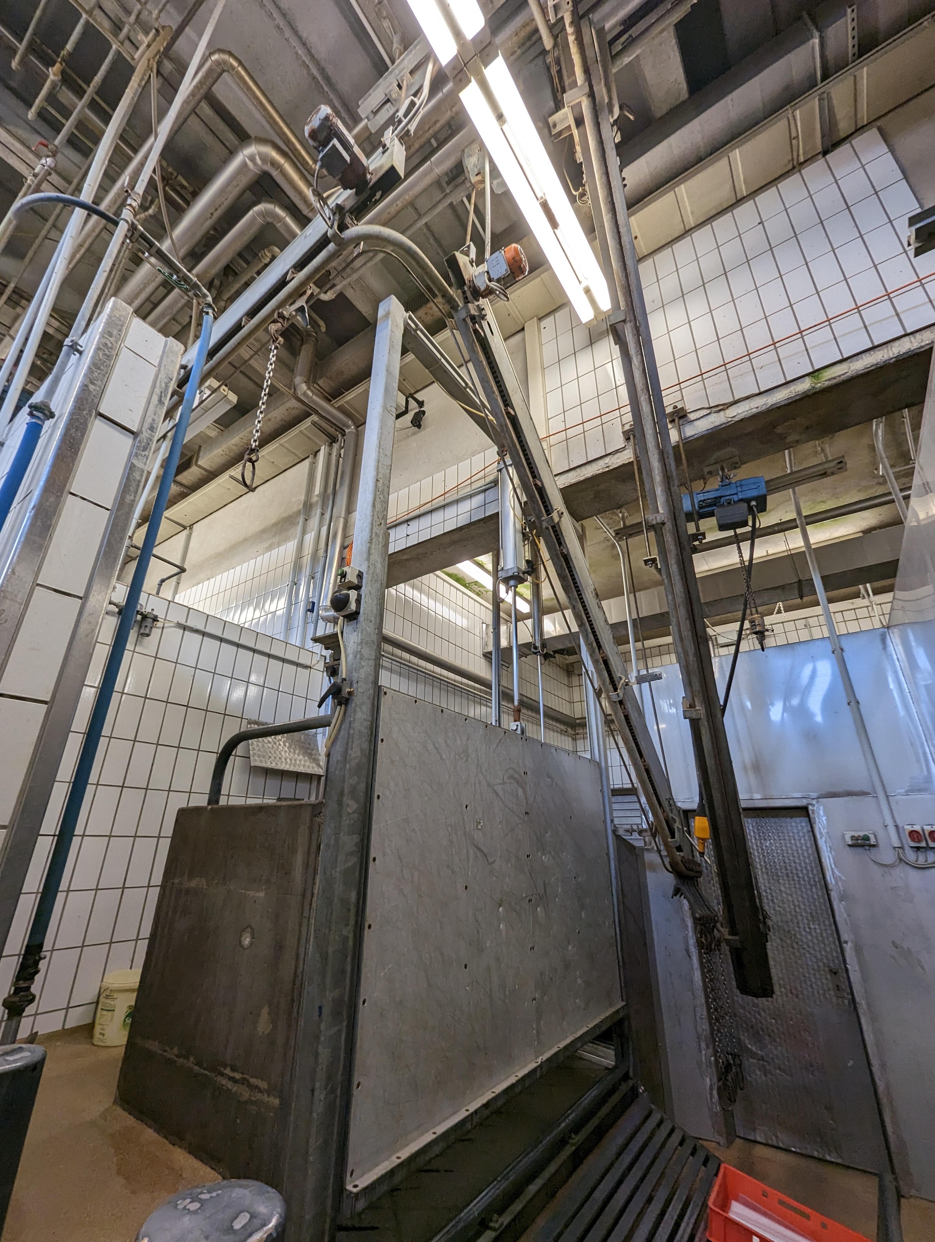 Used Cattle 25 cph - Slaughterline