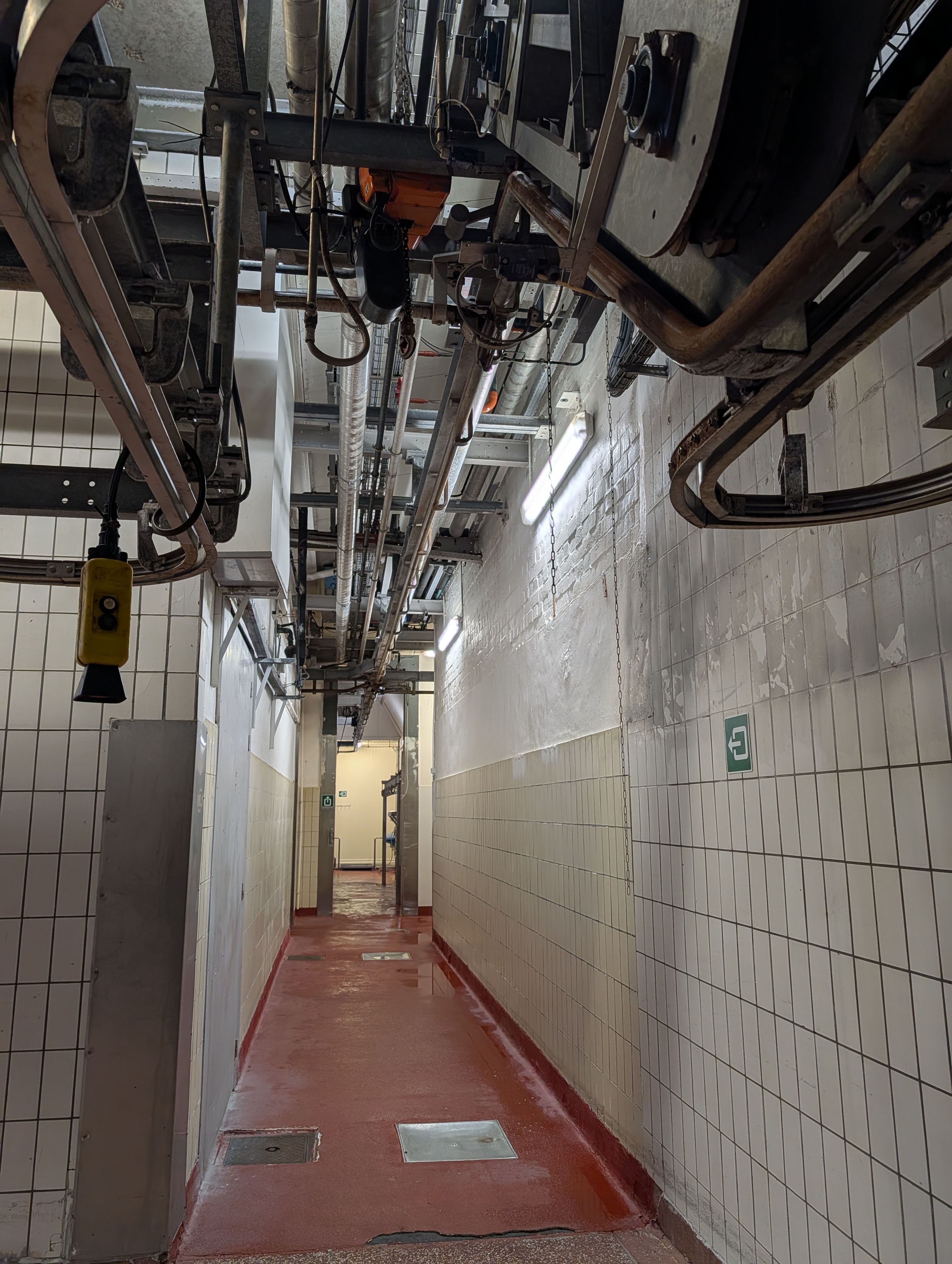 Used 50 cattle per hour slaughterline