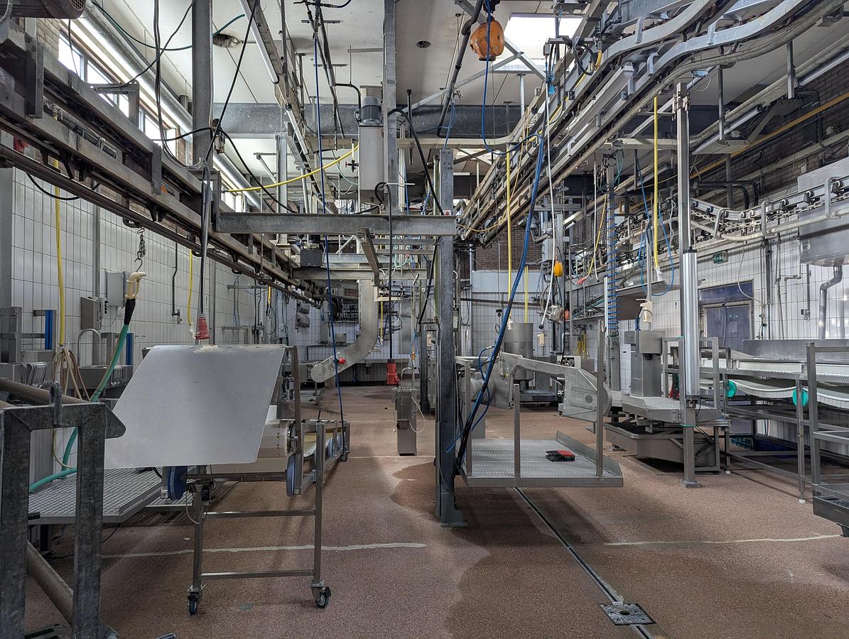 Used Sheep and cattle slaughterline