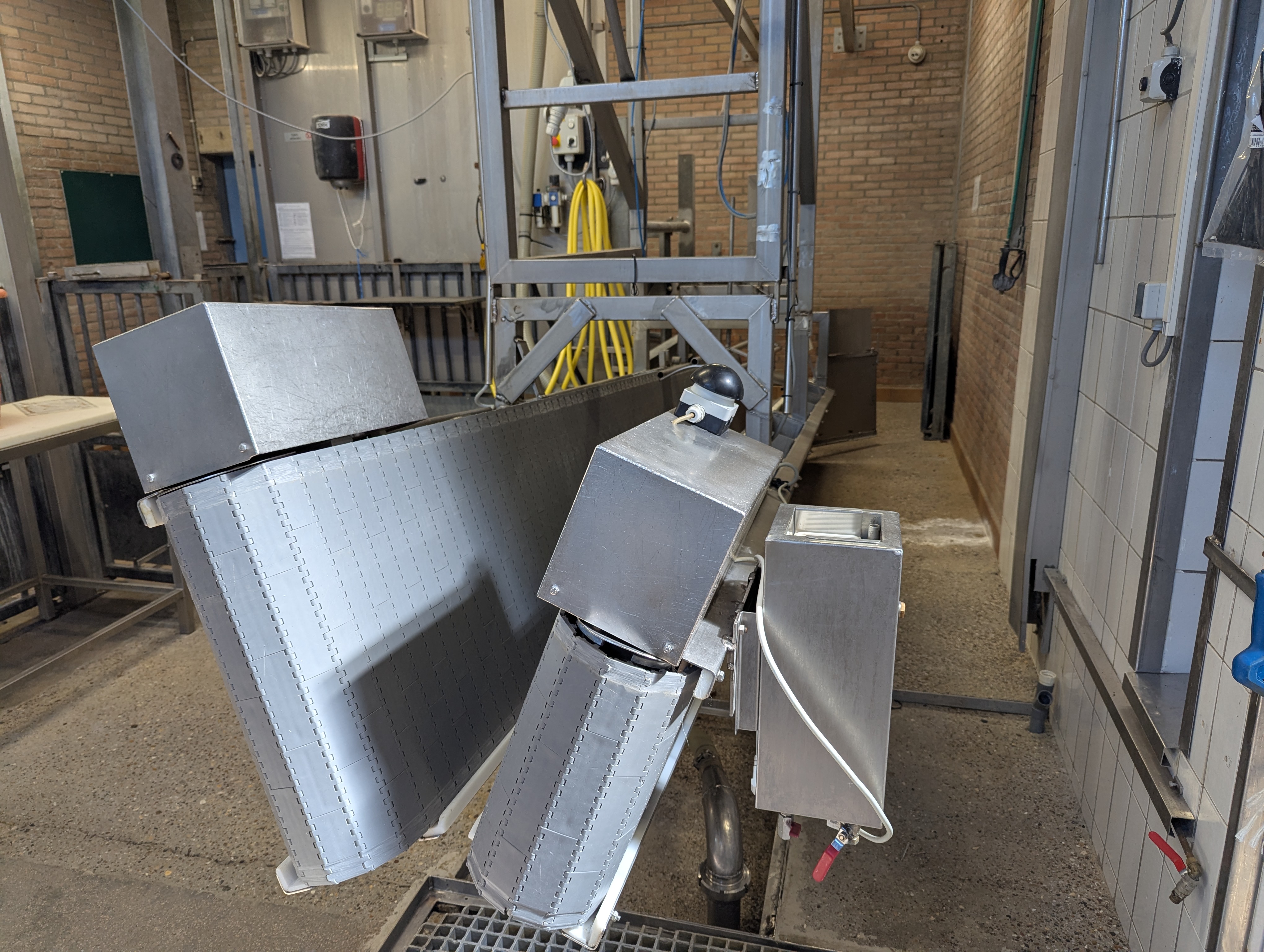 Used Sheep and cattle slaughterline