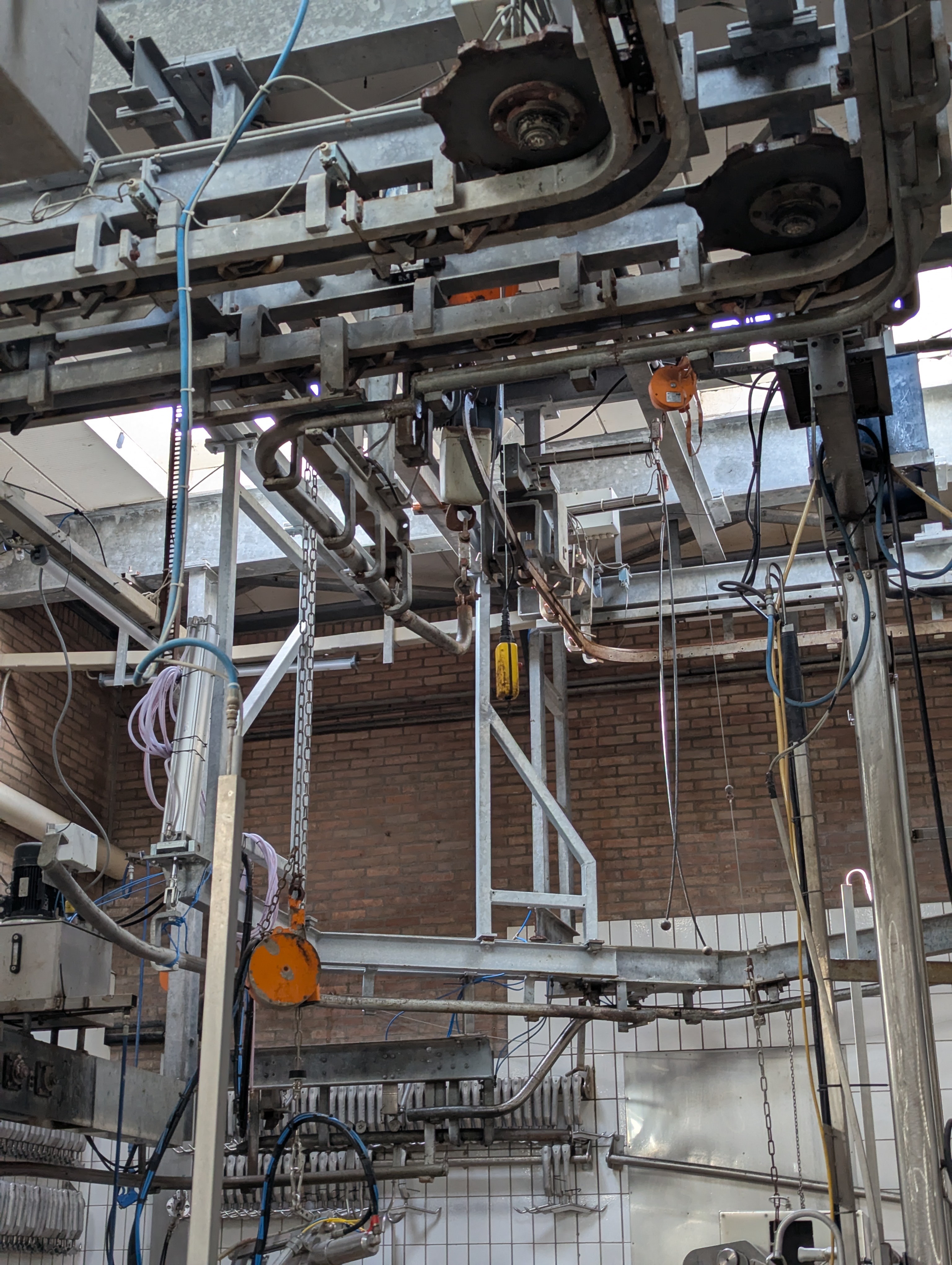 Used Sheep and cattle slaughterline