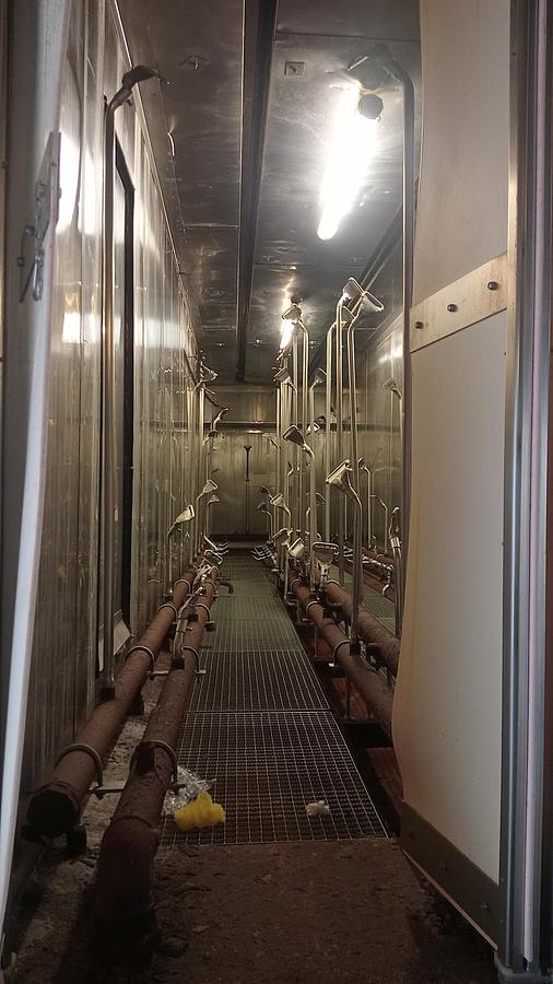 Used Scalding tunnel