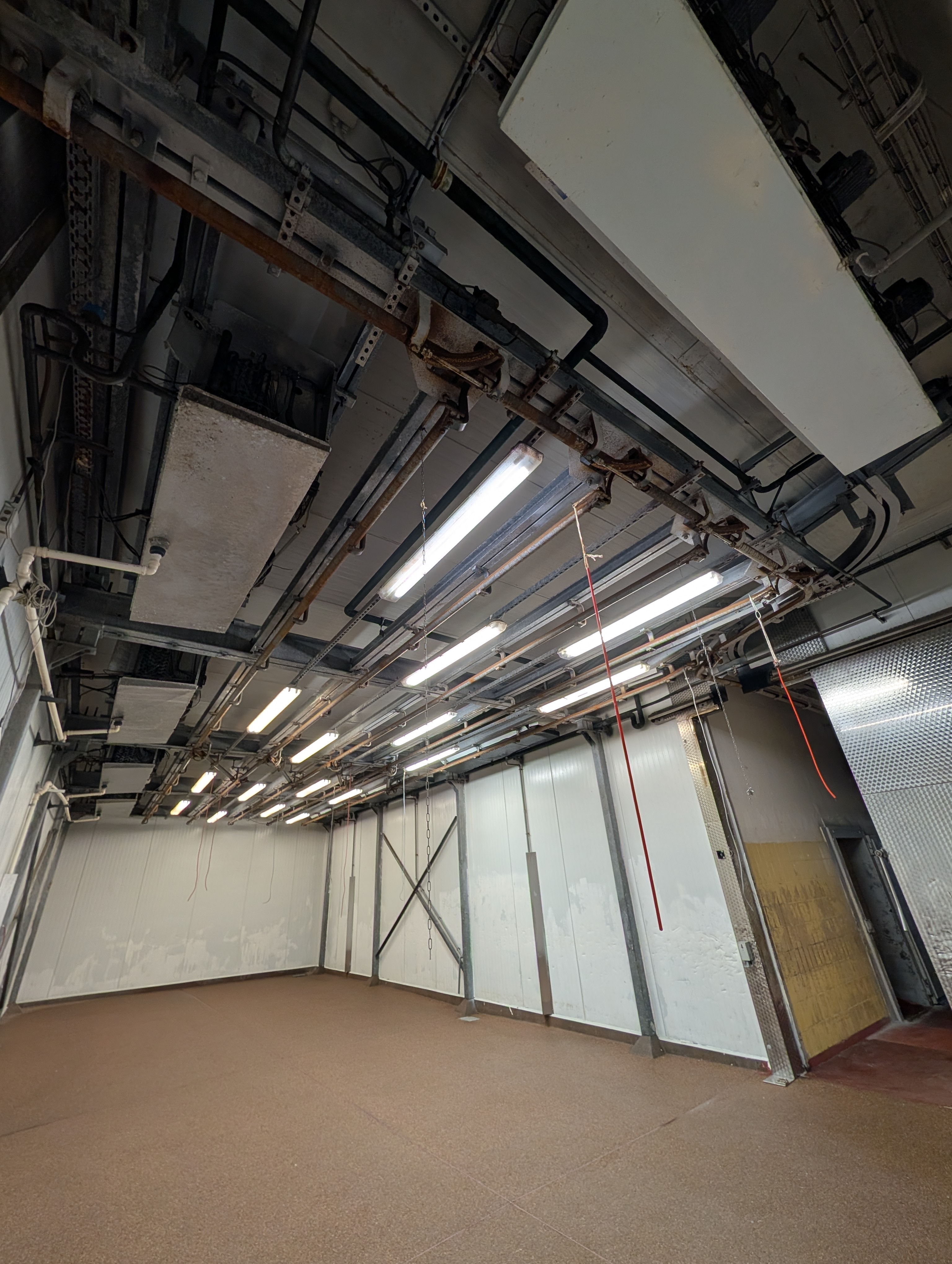 Used 50 cattle per hour slaughterline