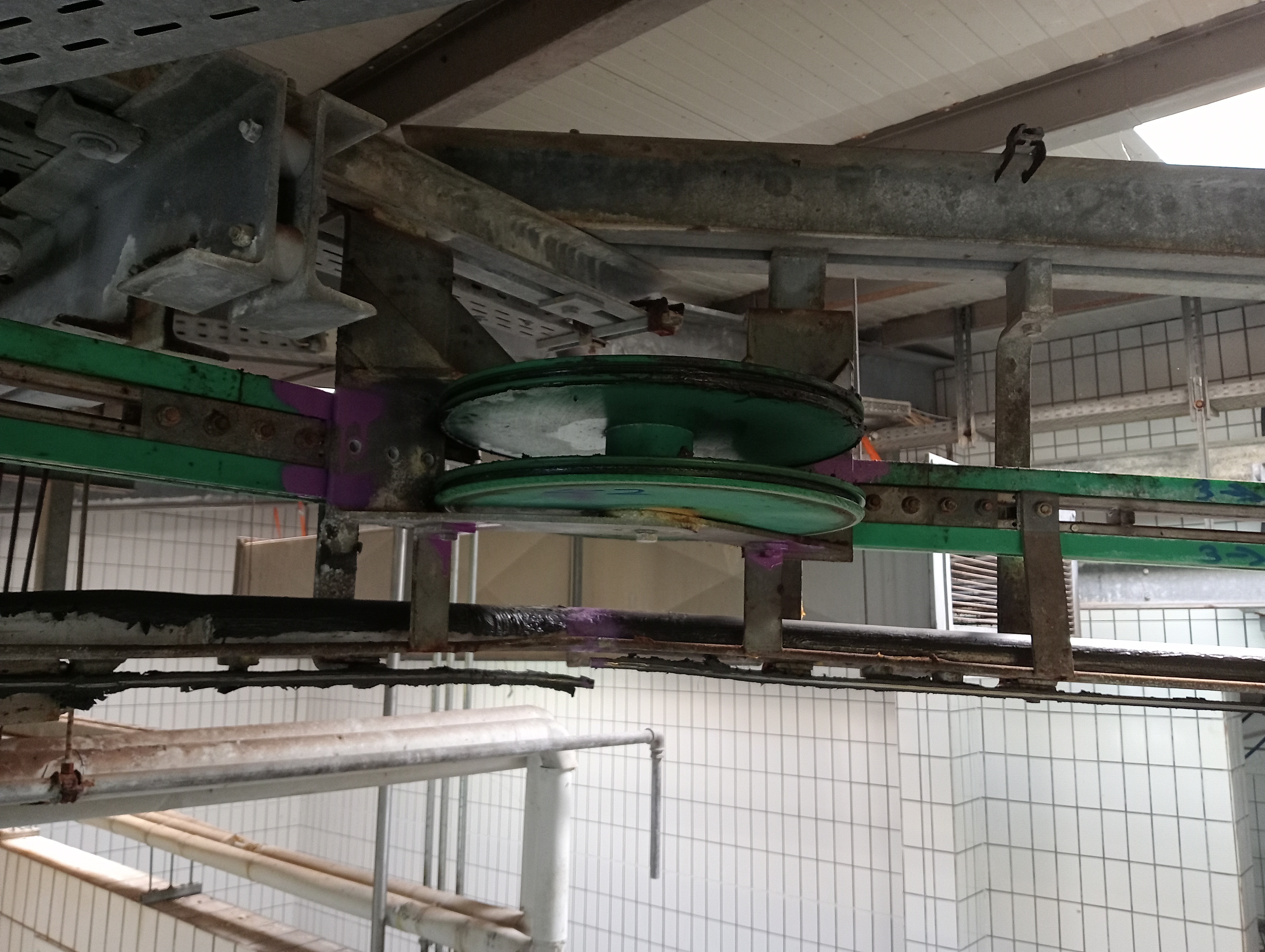 Used Conveyor
