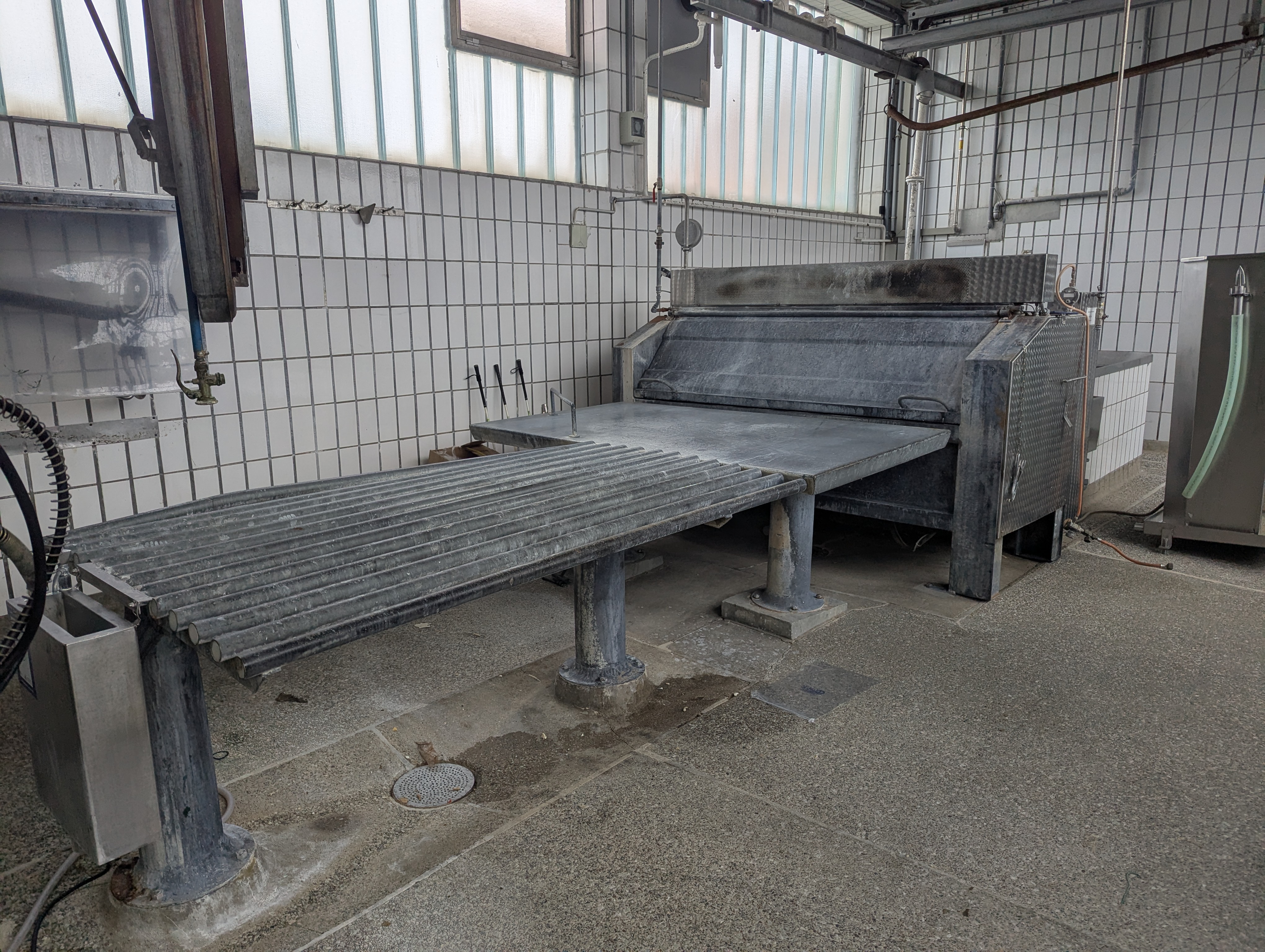 Used Dehairing machine